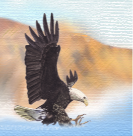 eaglewater.png