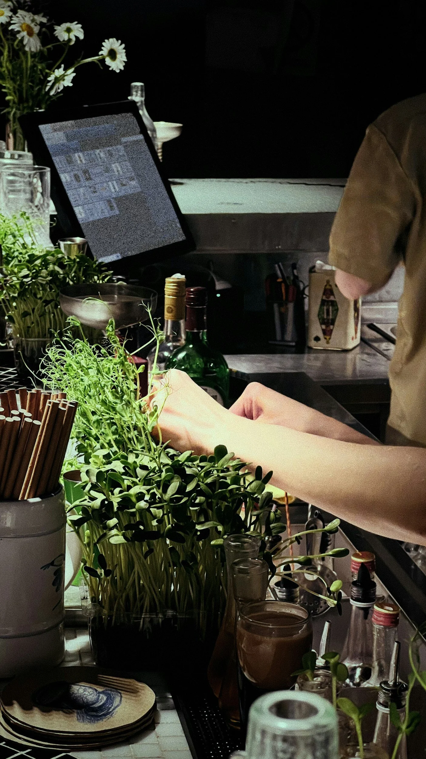 A person working behind a bar or counter with various plants, bottles, glasses, and kitchen tools.