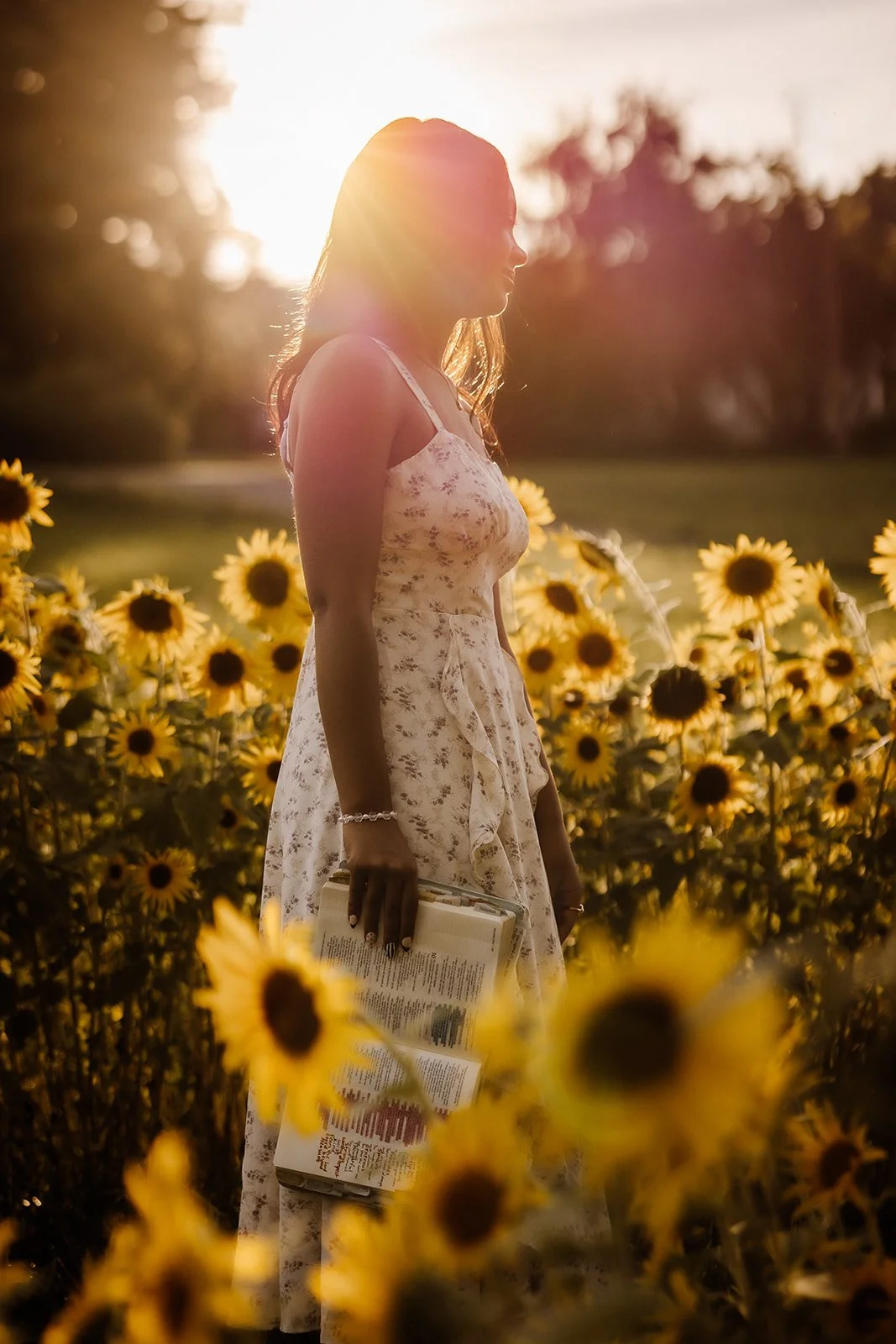 Senior portrait in sunflower field with bible. 