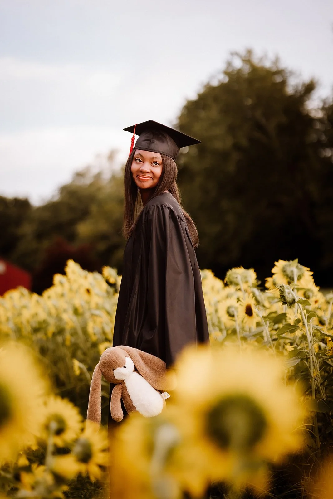 Senior portrait in sunflower field with cap and gown. 