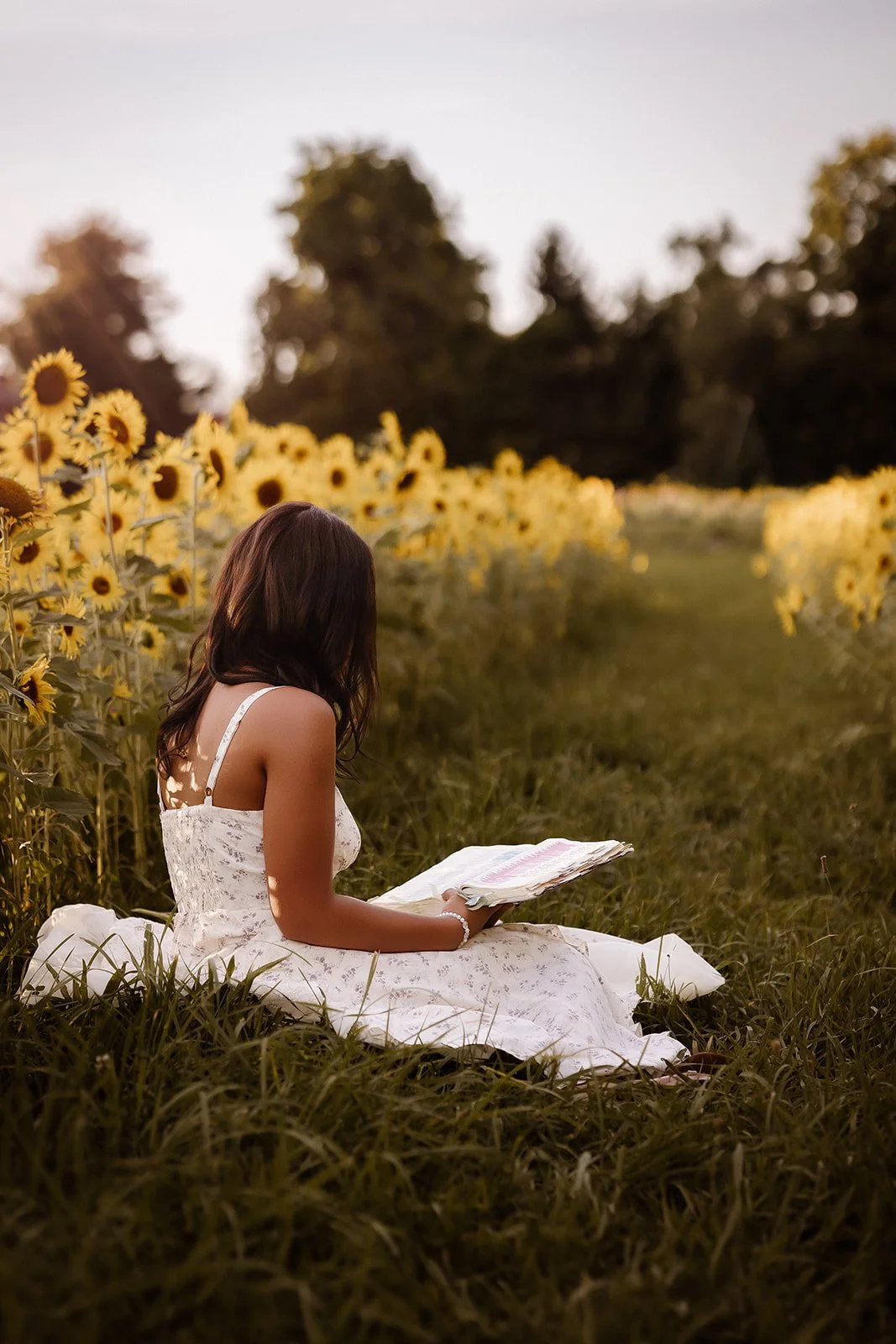 Senior portrait in sunflower field with bible. 
