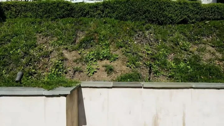 Fine Painting &amp; Wood Finishing 
.
.
.
.
#painting #palisades #customwork #home #losangeles