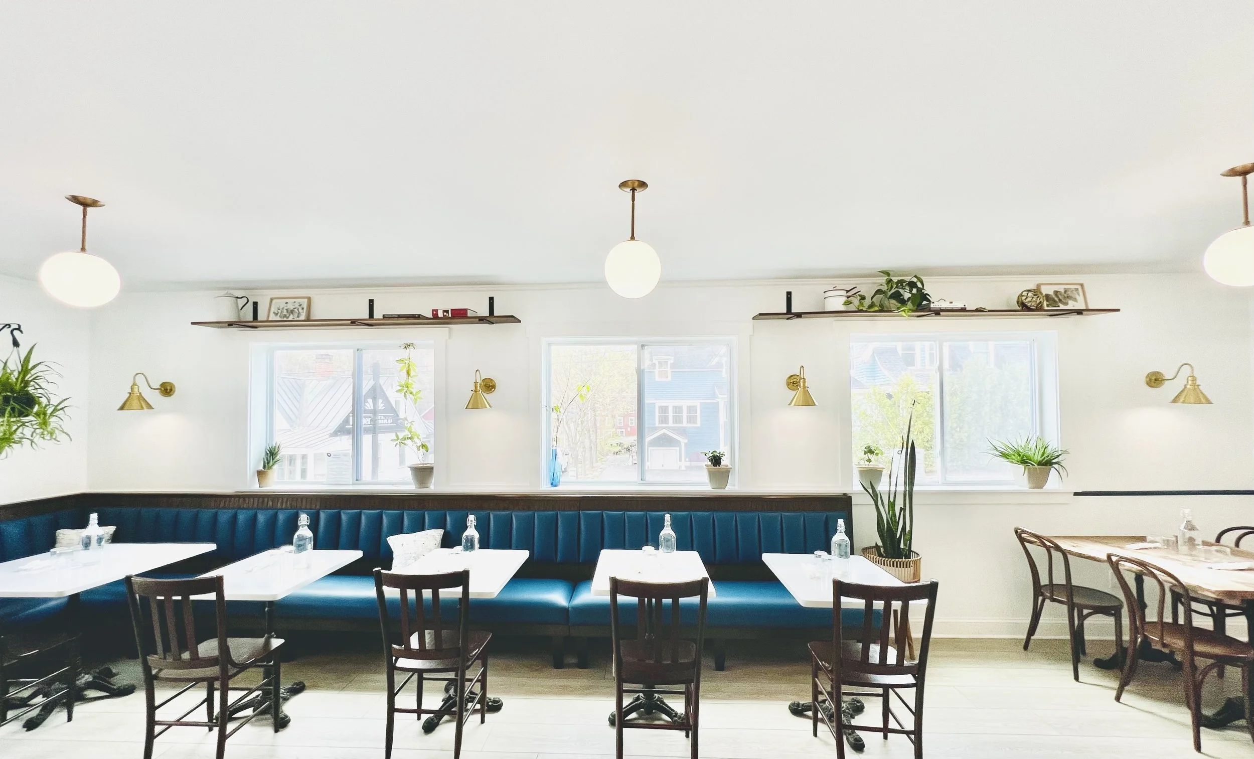 Bright dining area with white walls, three large windows with plants, a long blue banquette, and small tables with chairs, decorated with plants and wall-mounted lights.