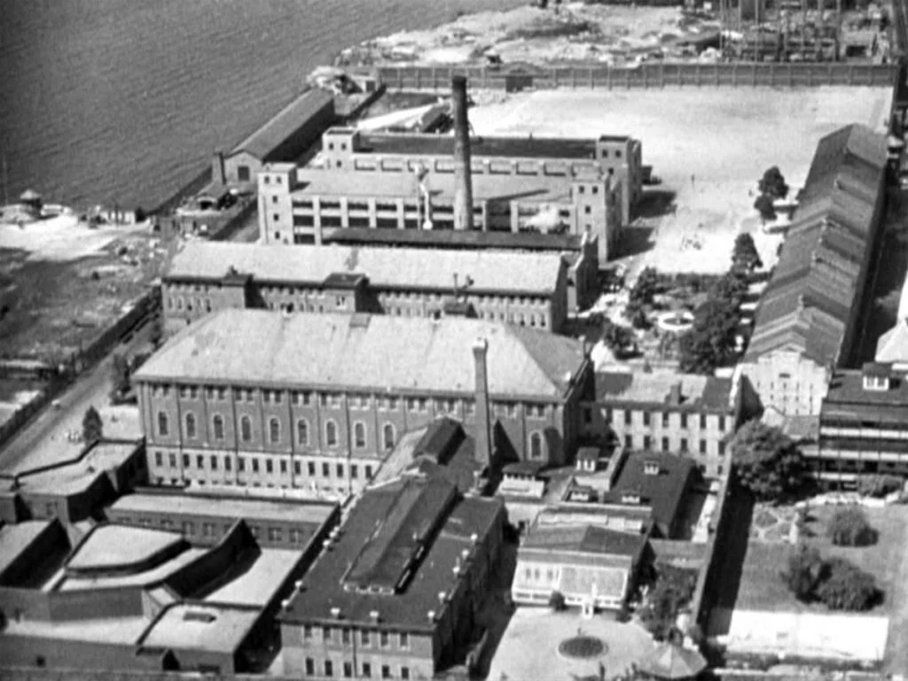 The Sing Sing Revolt