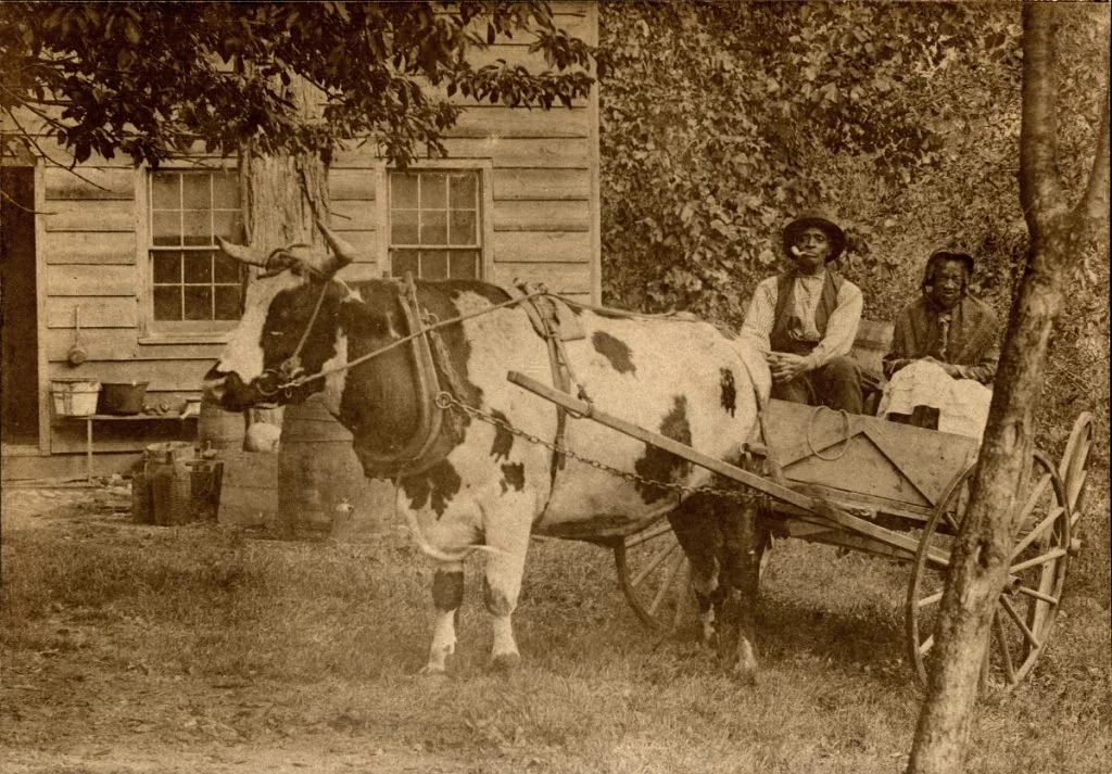 Sandy Ground & St. John's Build Community Through Humanities Projects