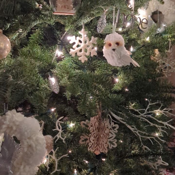 Loving these soft-lit moments at home 🤍

Are you ready to create a home you love to spend time in? There are 10 days left to get 10% off on both virtual and in-person consultations! 

And I know the holidays are busy; don't worry! Consultations purc