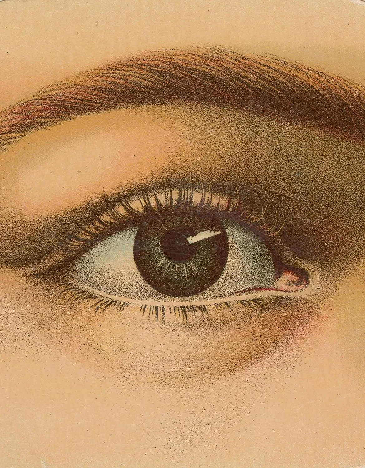 9.