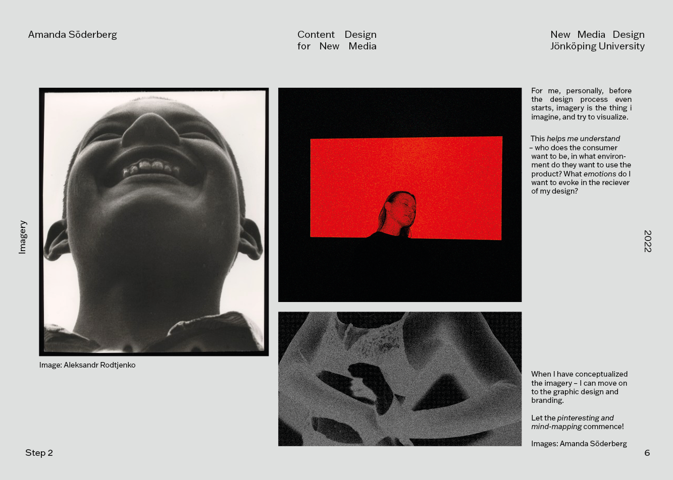 Aesthetic guide6.png