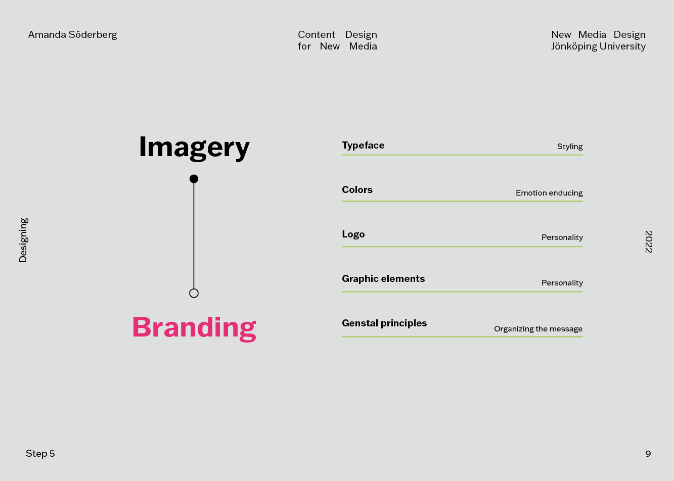 Aesthetic guide9.png