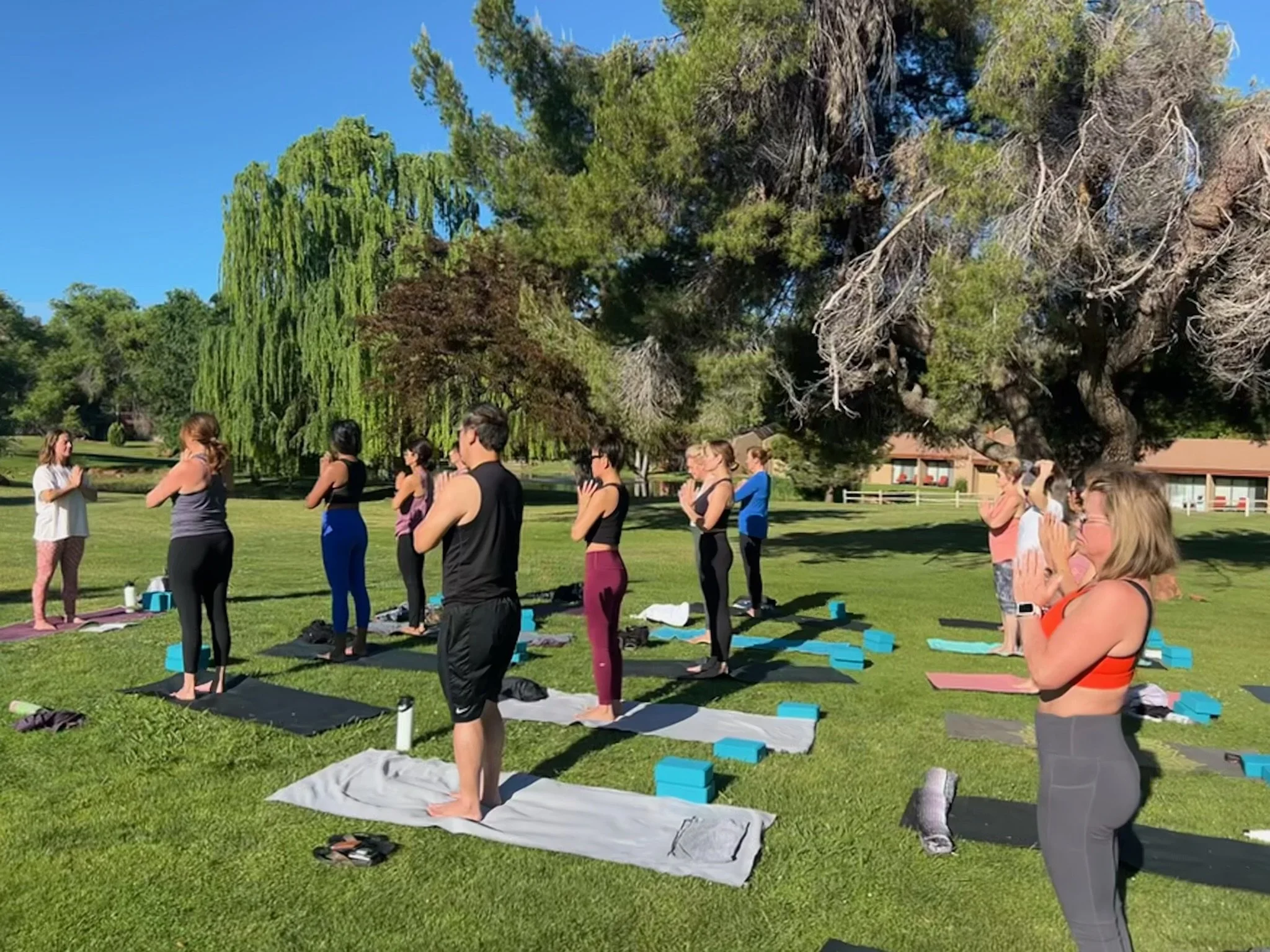 Group of people practicing outdoor yoga on mats in Sedona, AZ with trees and a clear blue sky.