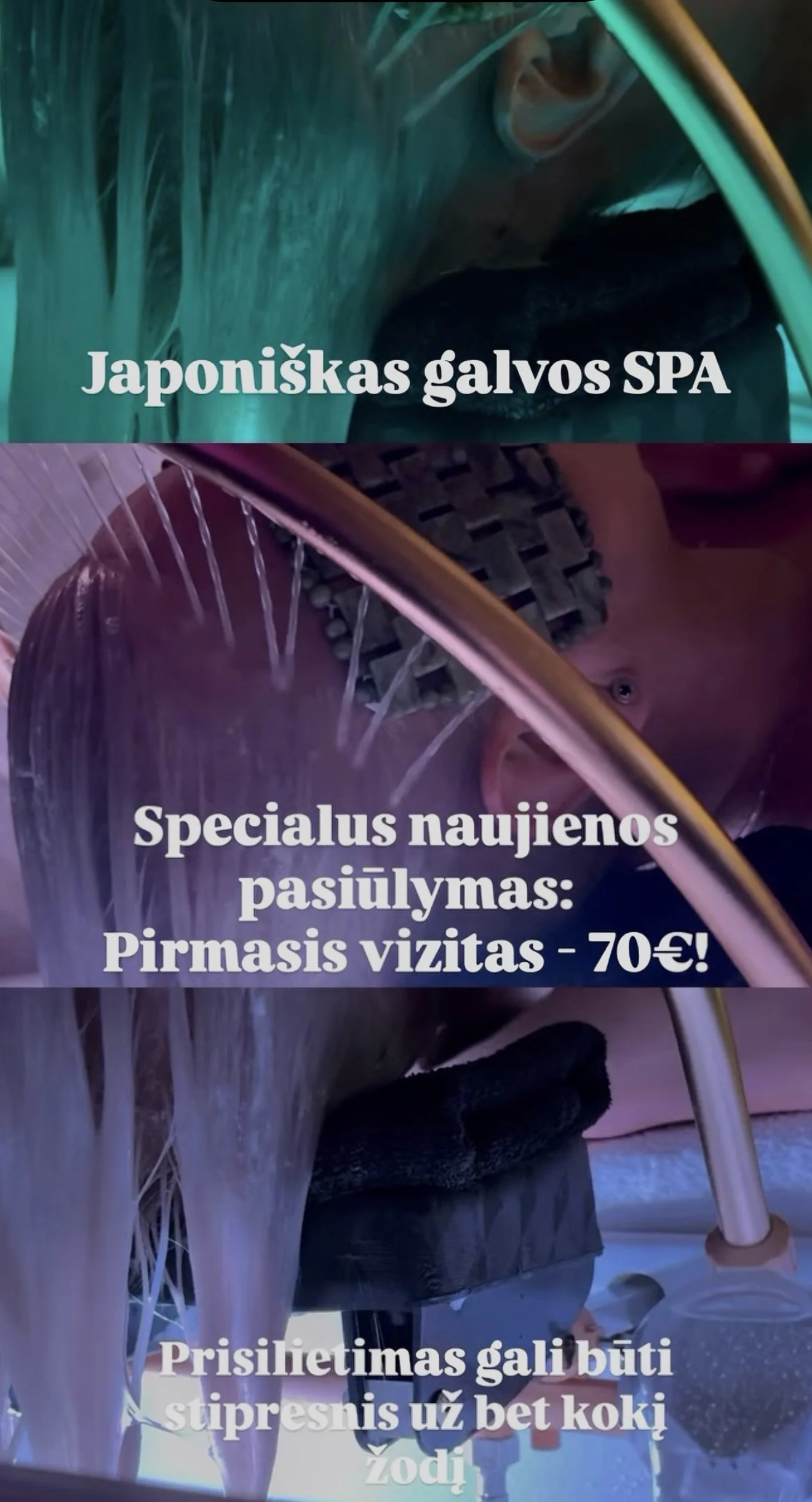 Japniniskas galvos SPA.PNG