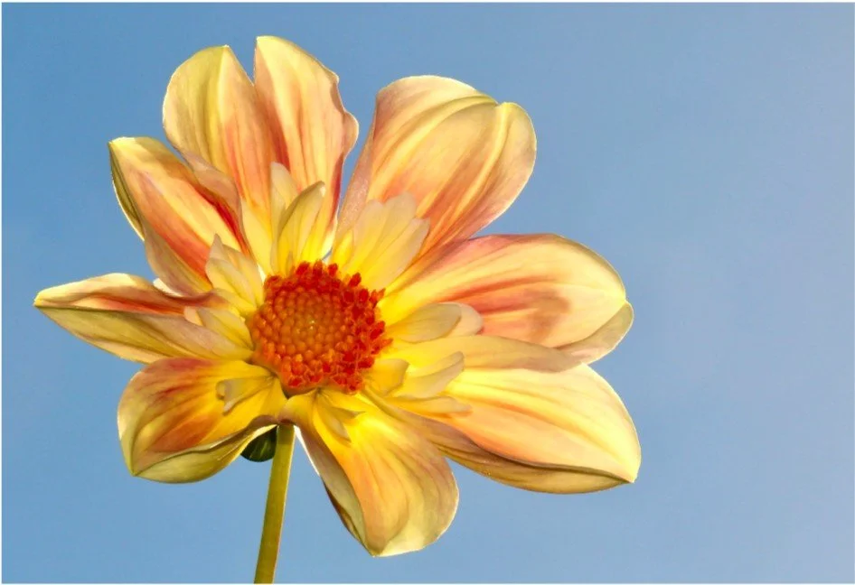 Personal Training + Intimacy coaching