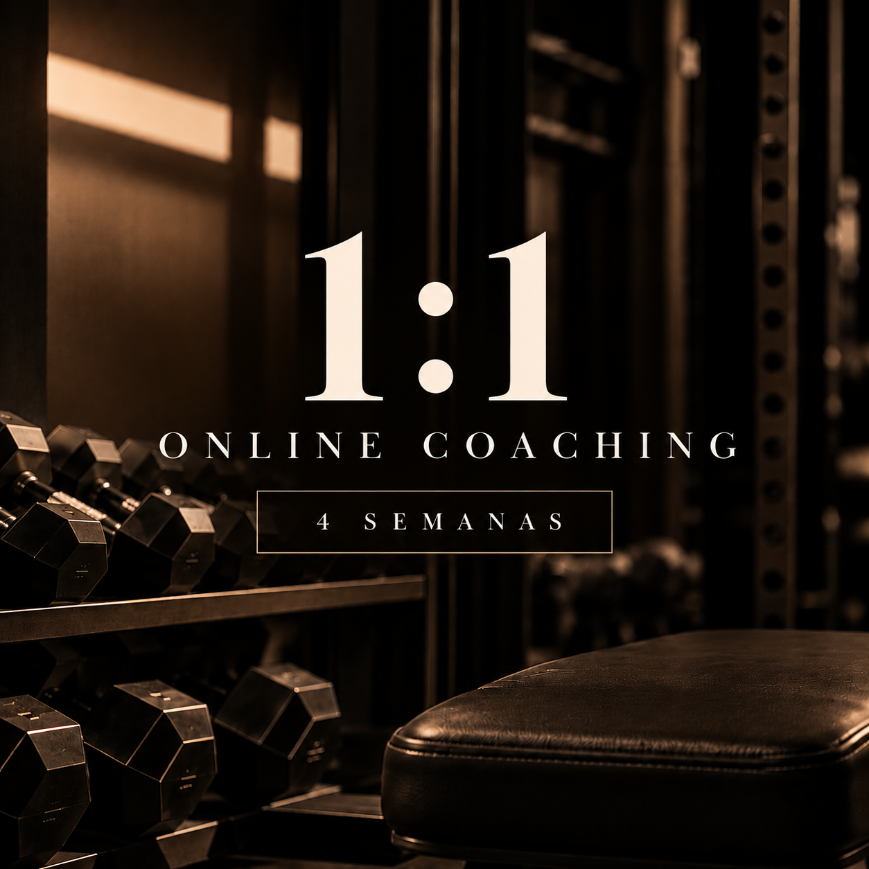 1:1 ONLINE COACHING