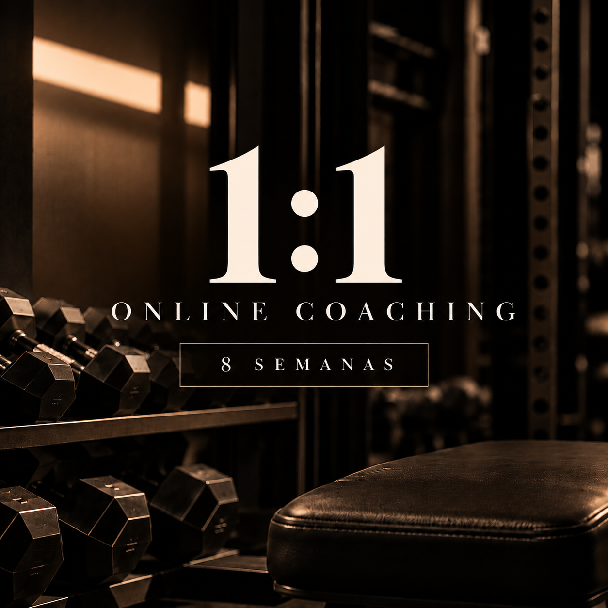 1:1 ONLINE COACHING- 8 SEMANAS