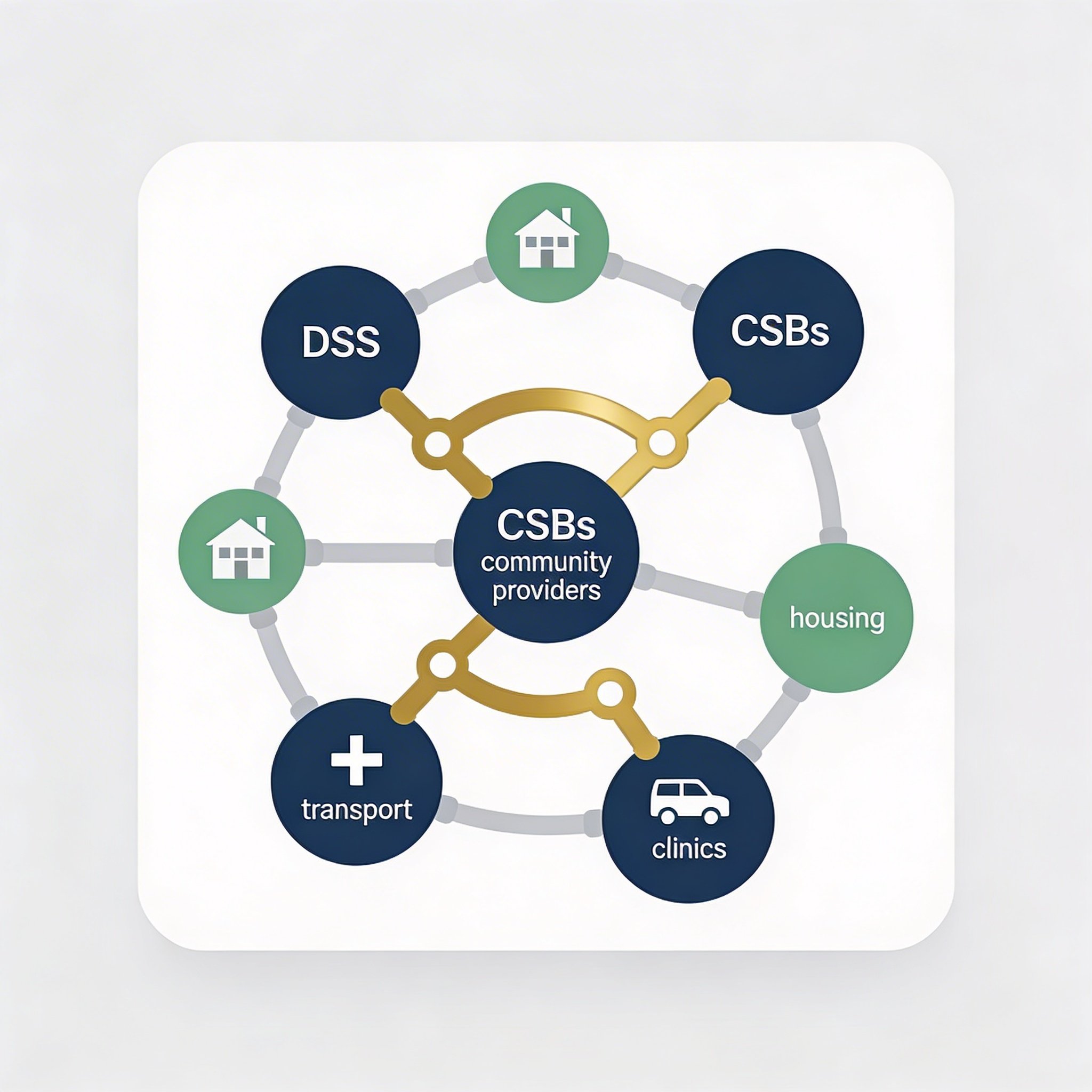 Risk and Resilience for DSS and CSBs: Supply Chain Thinking for Social Impact