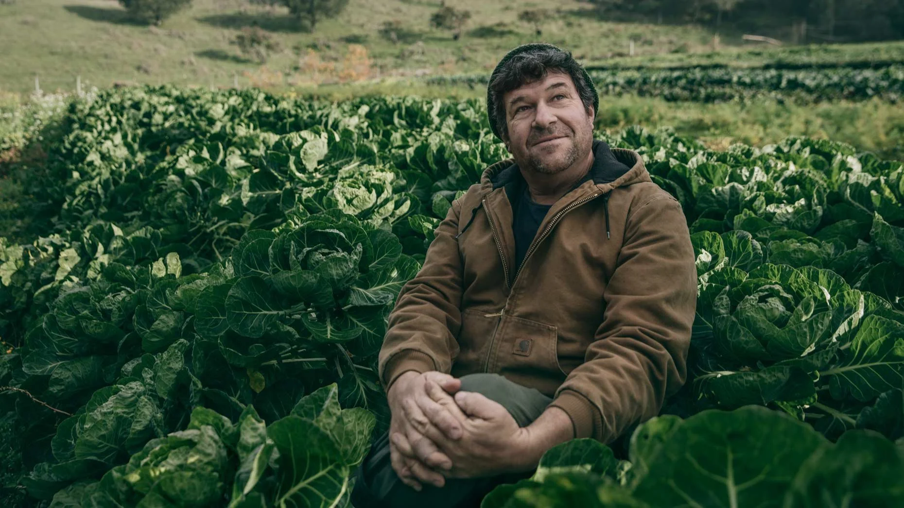 A man sitting in a field of green leafy plants, looking off into the distance, with hills in the background.