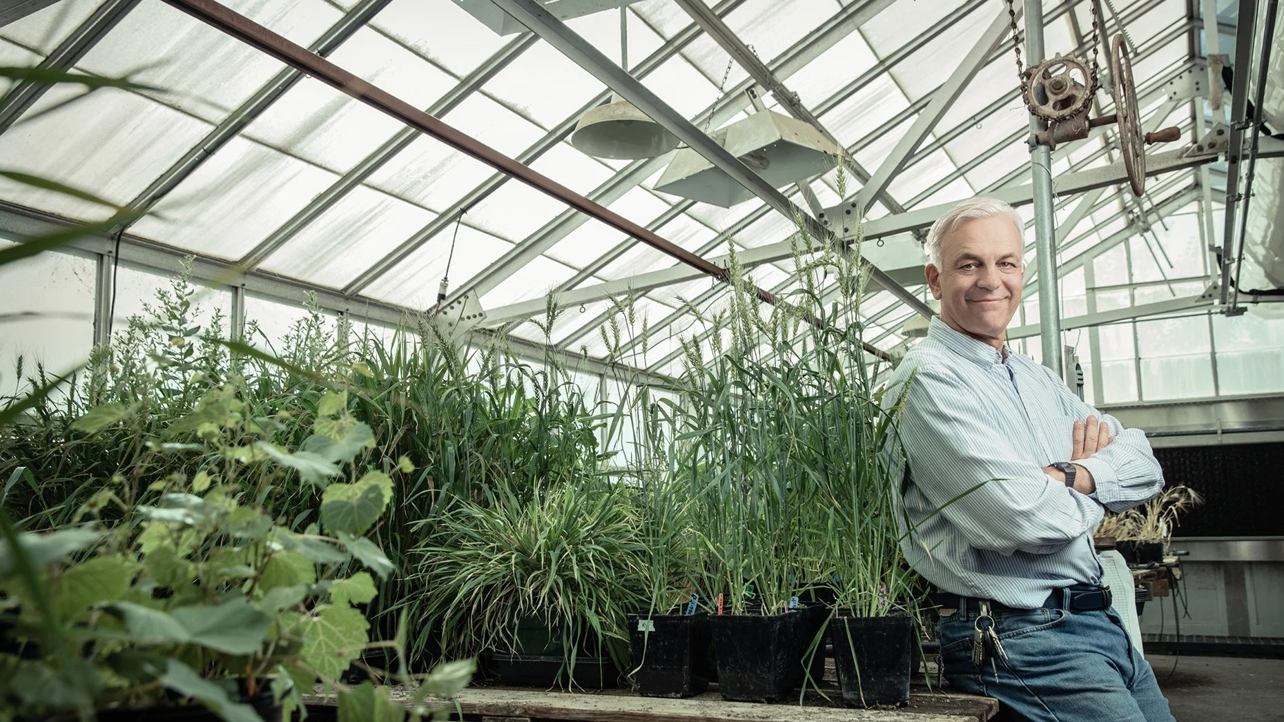 A man stands with arms crossed in a greenhouse filled with potted plants and tall grasses, with sunlight filtering through the glass roof.