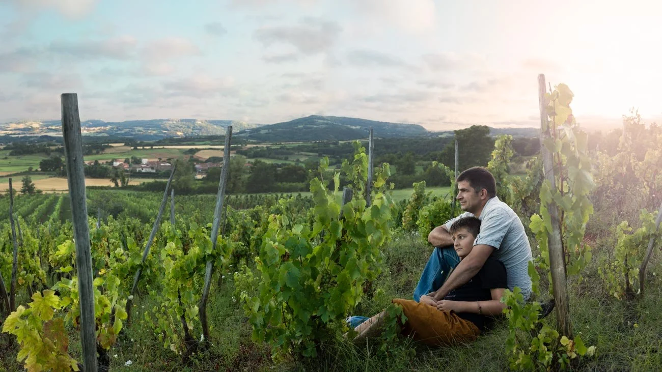 A man and a boy sitting in a vineyard with rows of grapevines and rolling hills in the background during sunset.