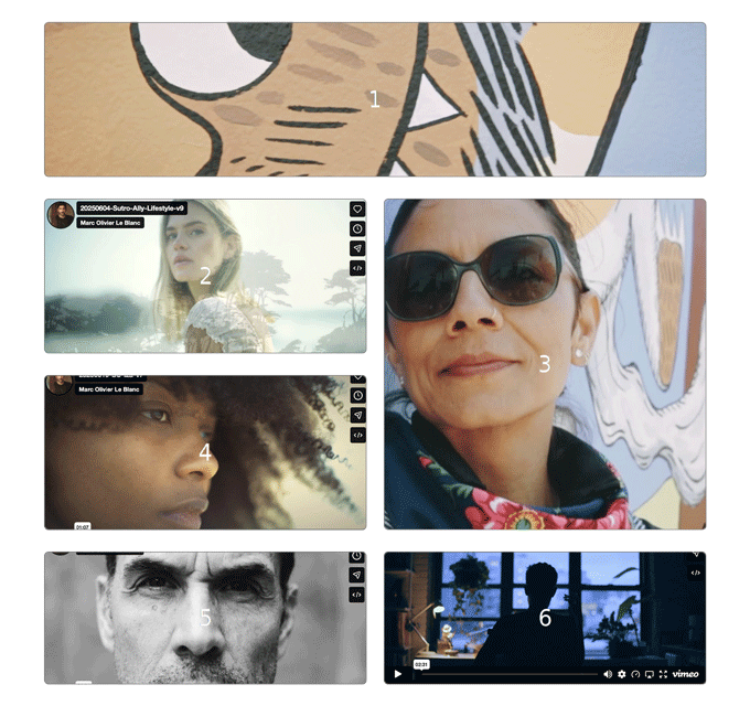 Diagram showing a six videos with numbers and descriptions about these 6 videos.