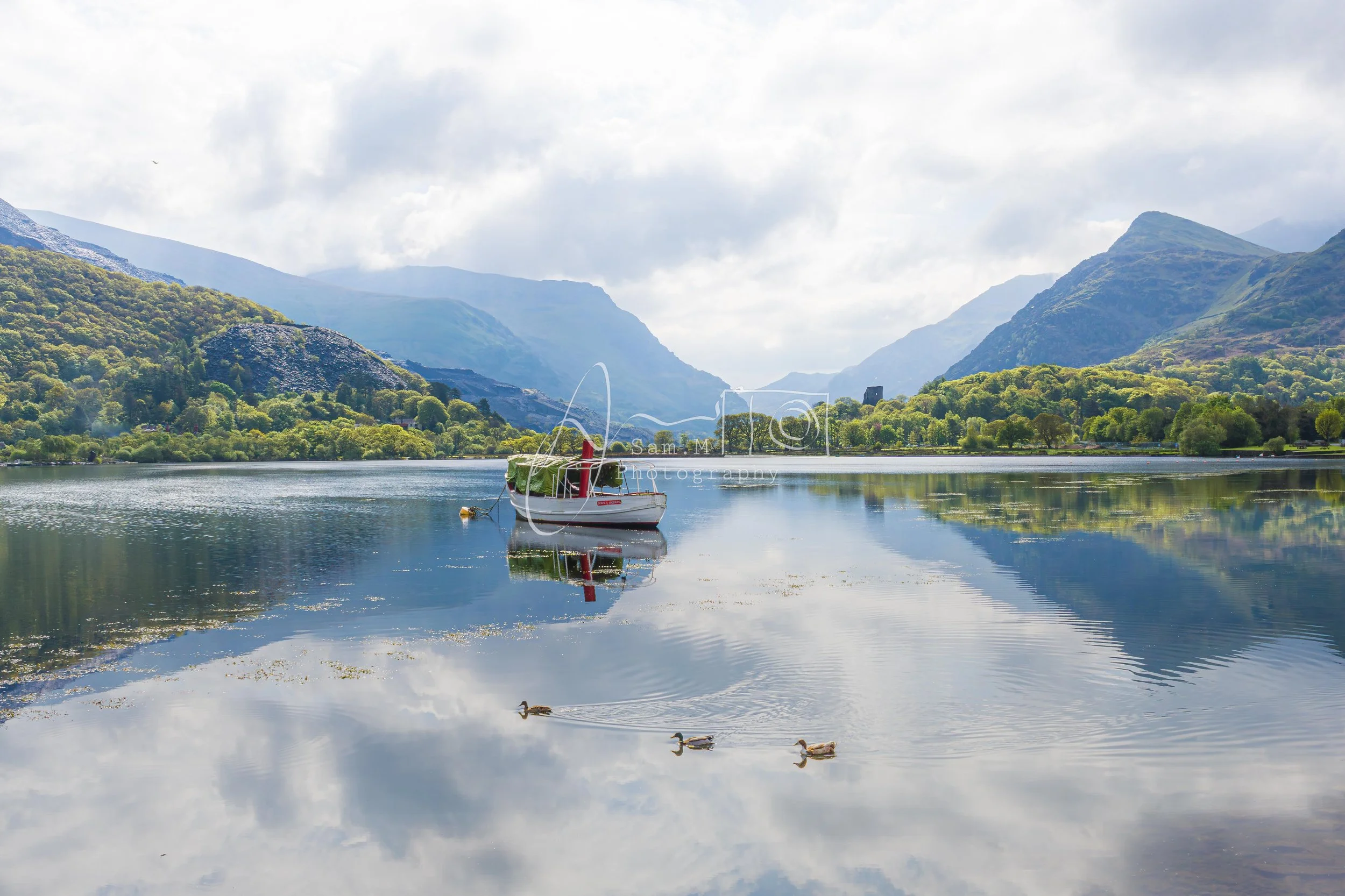 A boat floating on calm lake water with three ducks swimming nearby, surrounded by green trees and mountains under a partly cloudy sky.