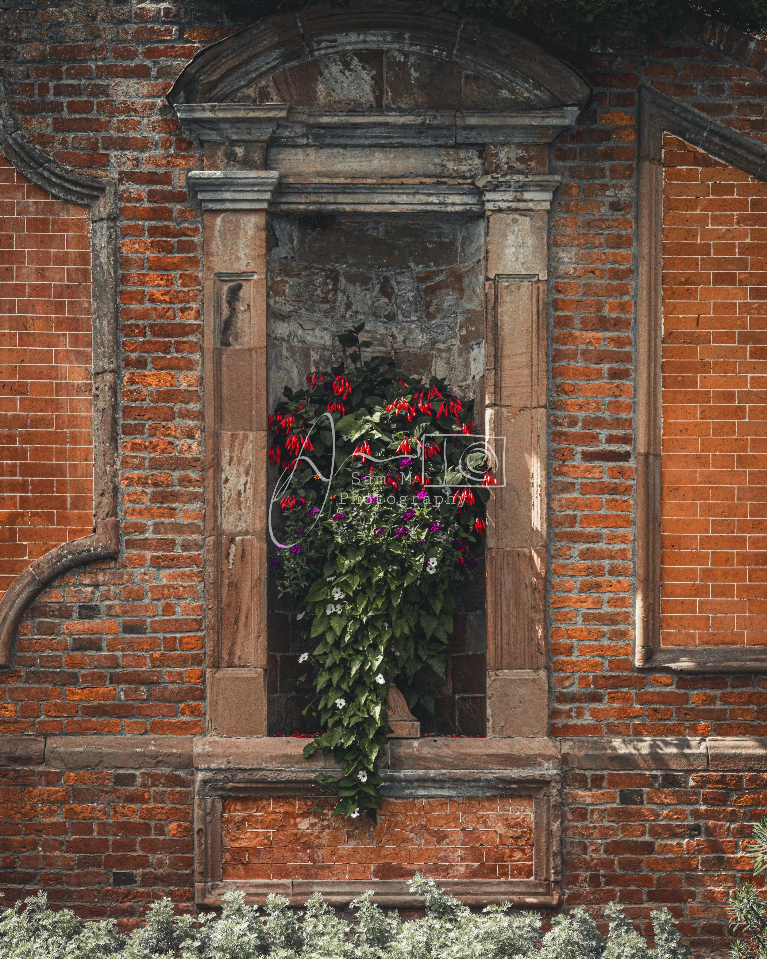 A brick wall with an empty stone-framed wall niche filled with plants.