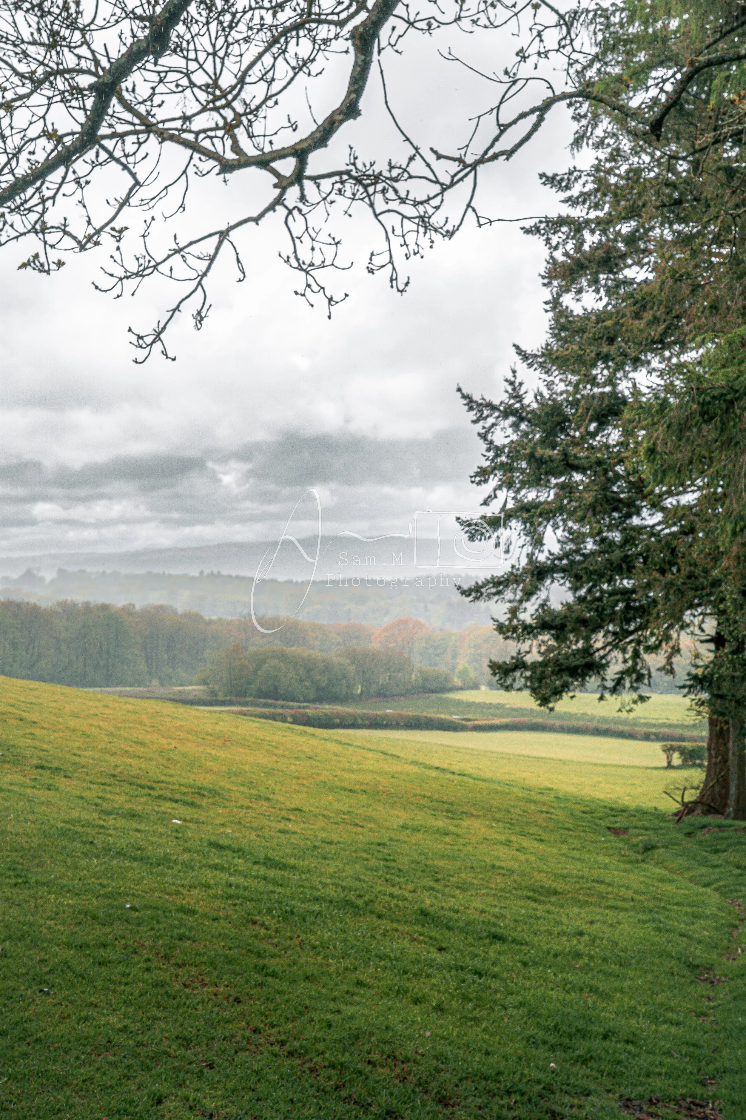 A lush green grassy field with trees on the right and top edges, under a cloudy sky.