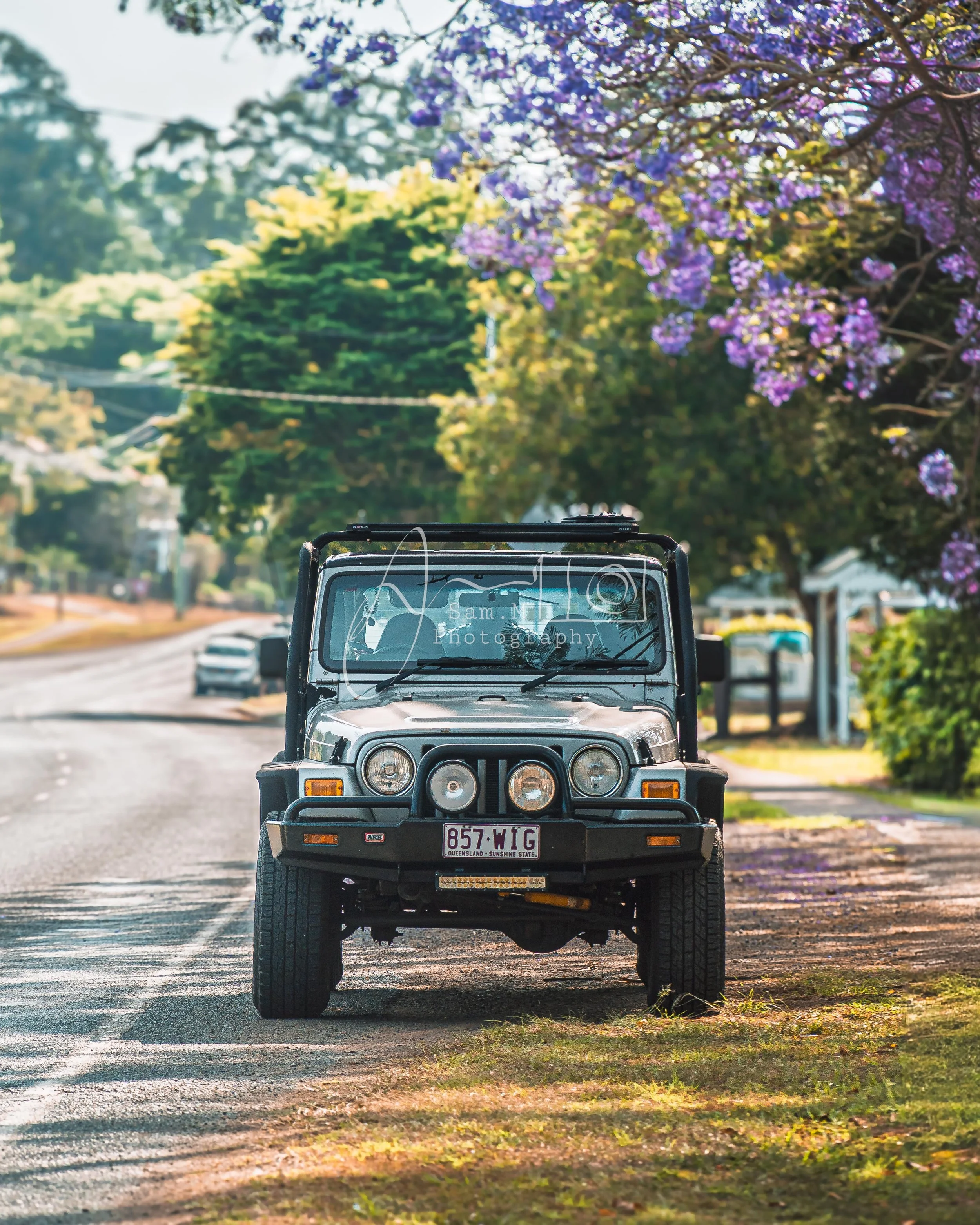 Front view of a black Jeep parked on the side of a street, with purple flowering trees overhead and green trees in the background.