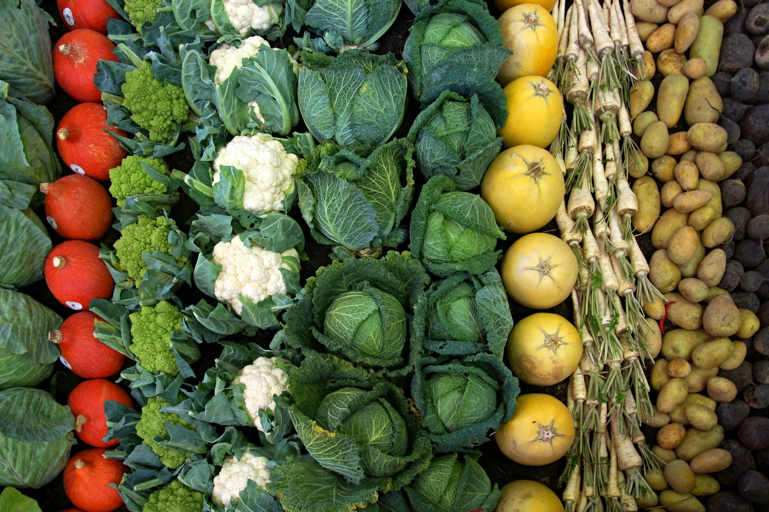 A photo of garden vegetables in Atlanta, Georgia
