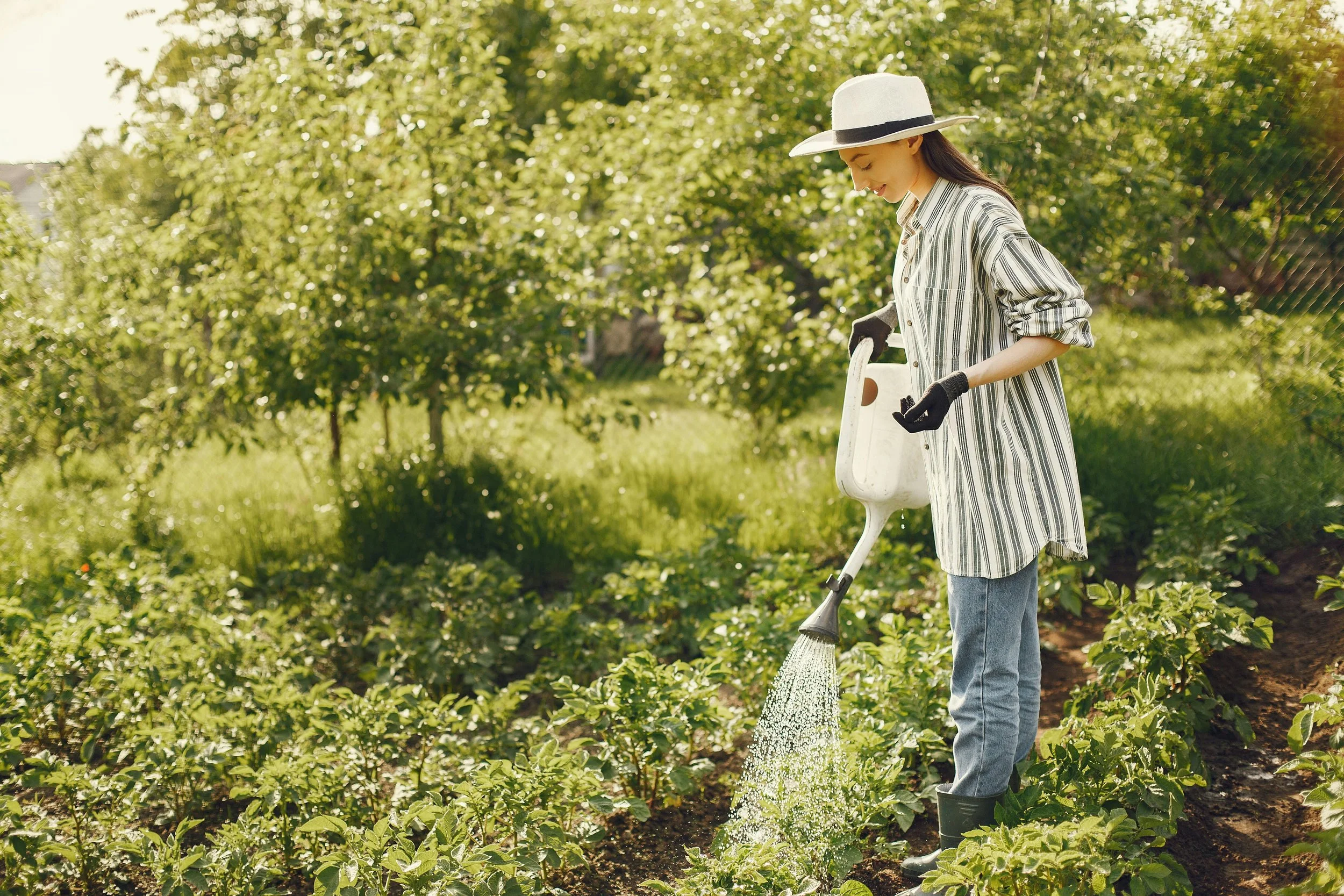 5 Steps to Starting a Vegetable Garden