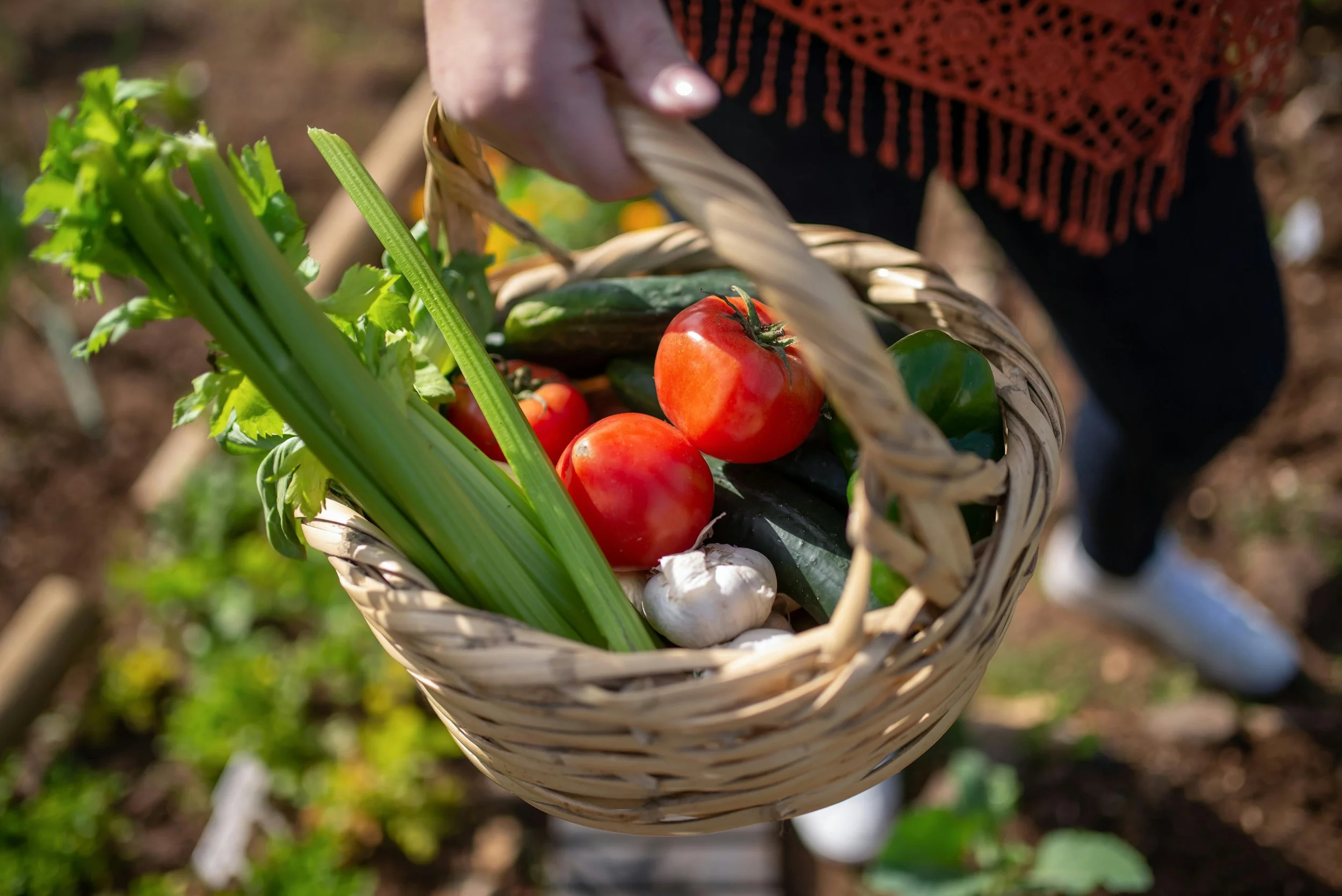 What to Plant in Atlanta in May: A Week-by-Week Guide for Zone 8a