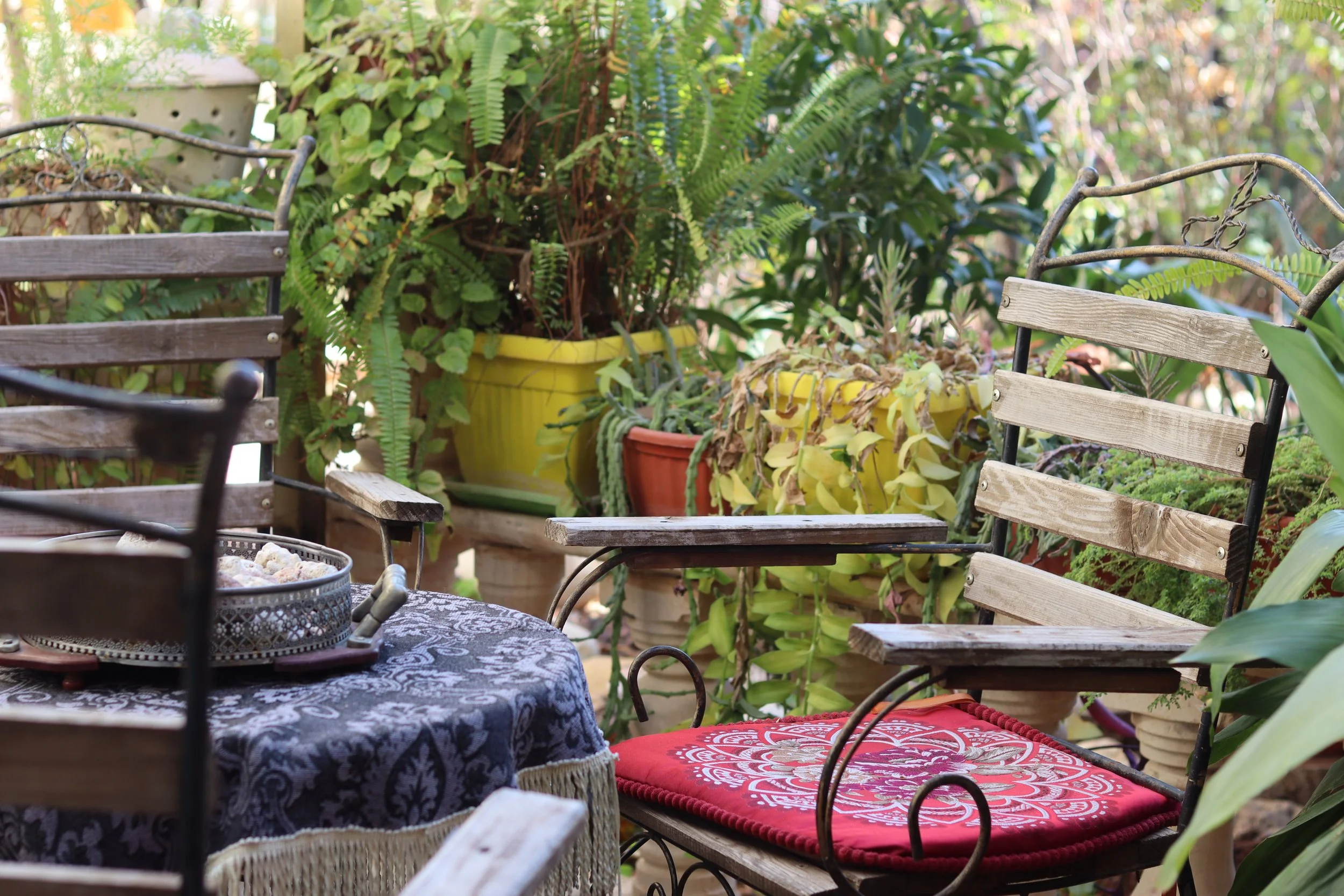 Small Space, Serious Style: Designing a Balcony Garden Worthy of Your Condo's View