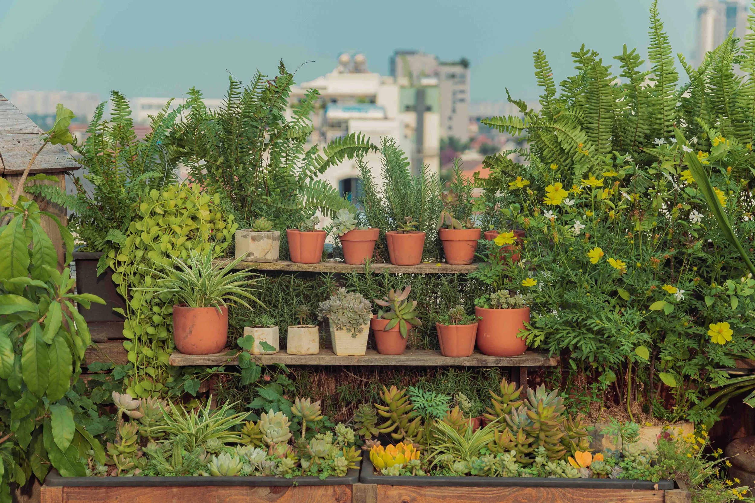 No Yard? No Problem: The Luxury Apartment Dweller's Guide to Growing Real Food