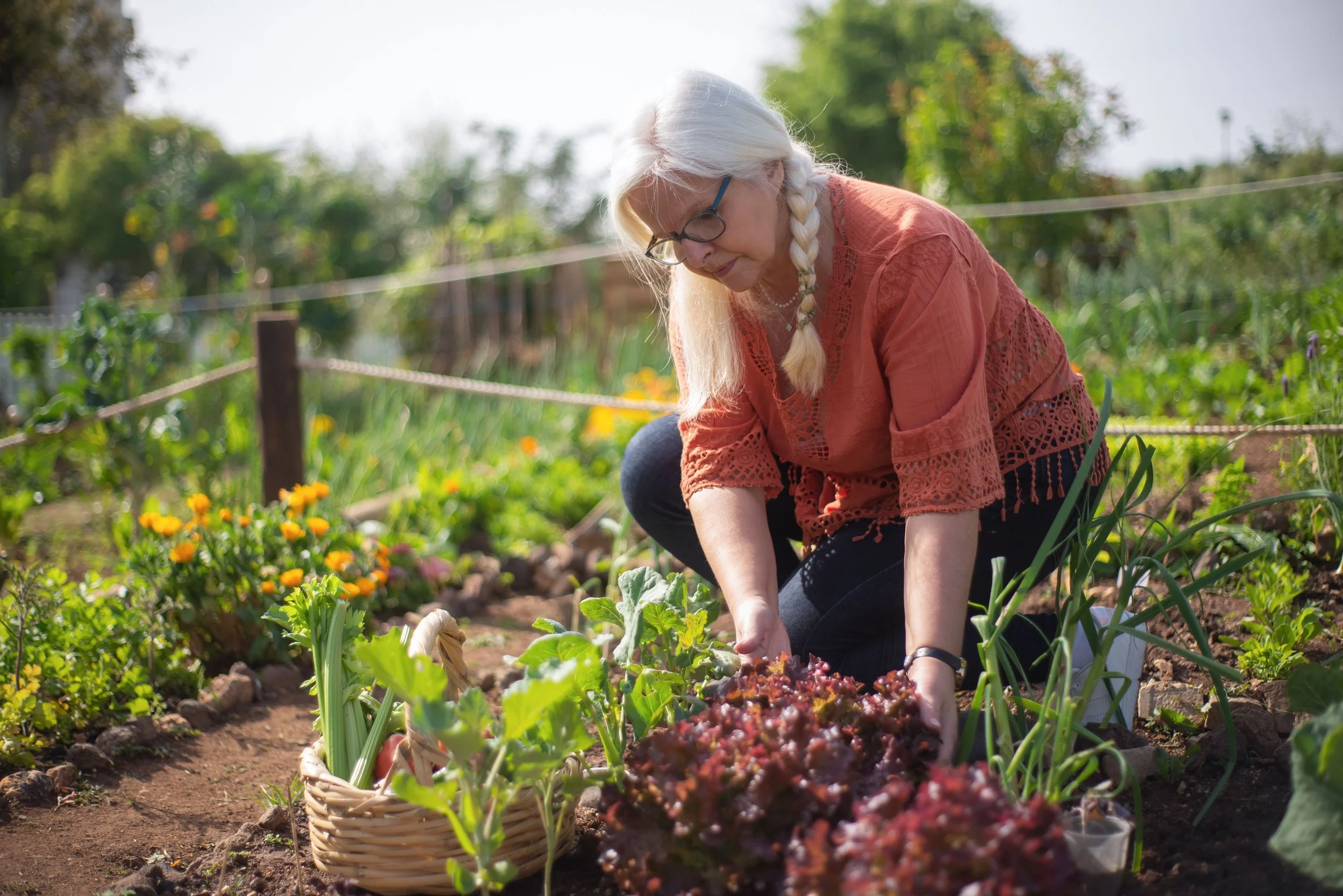 In-Ground vs. Raised Beds in Atlanta: Why Zone 8a Summers Favor Planting in the Ground