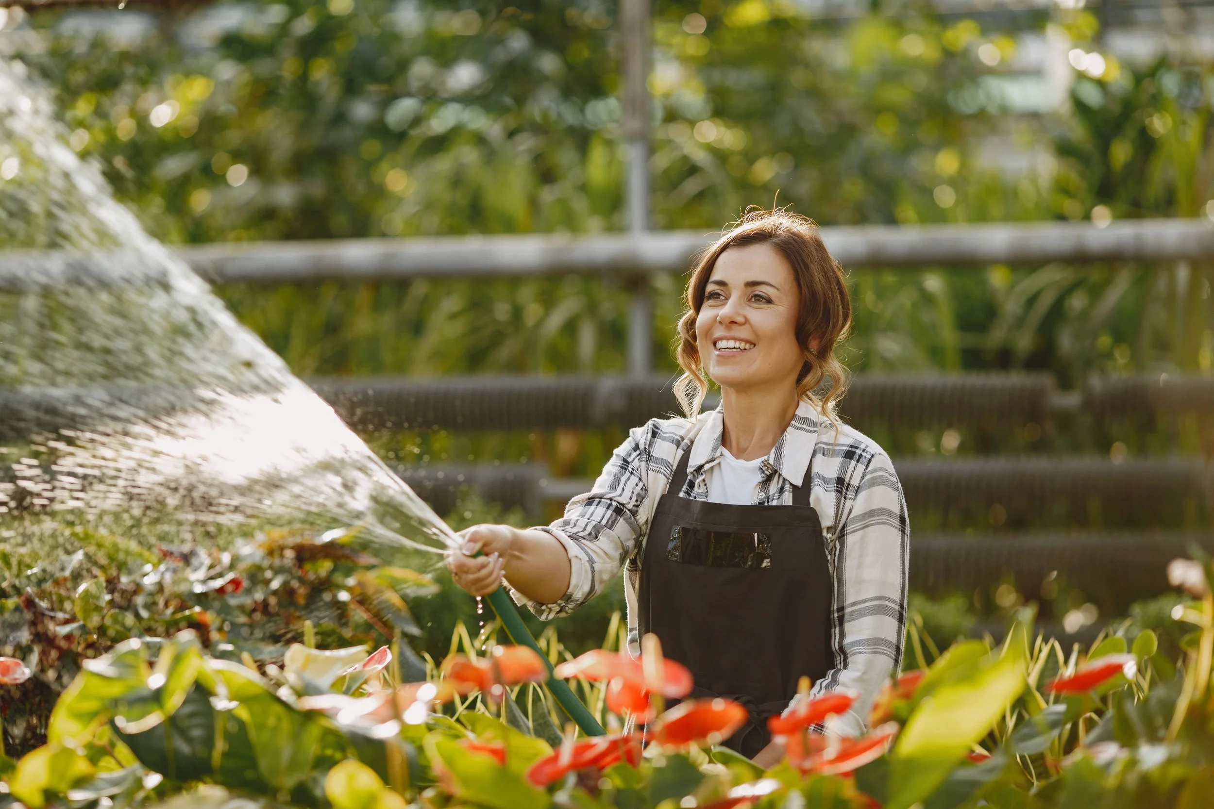 Nature's Pharmacy: 8 Medicinal Plants That Naturally Lift Your Mood