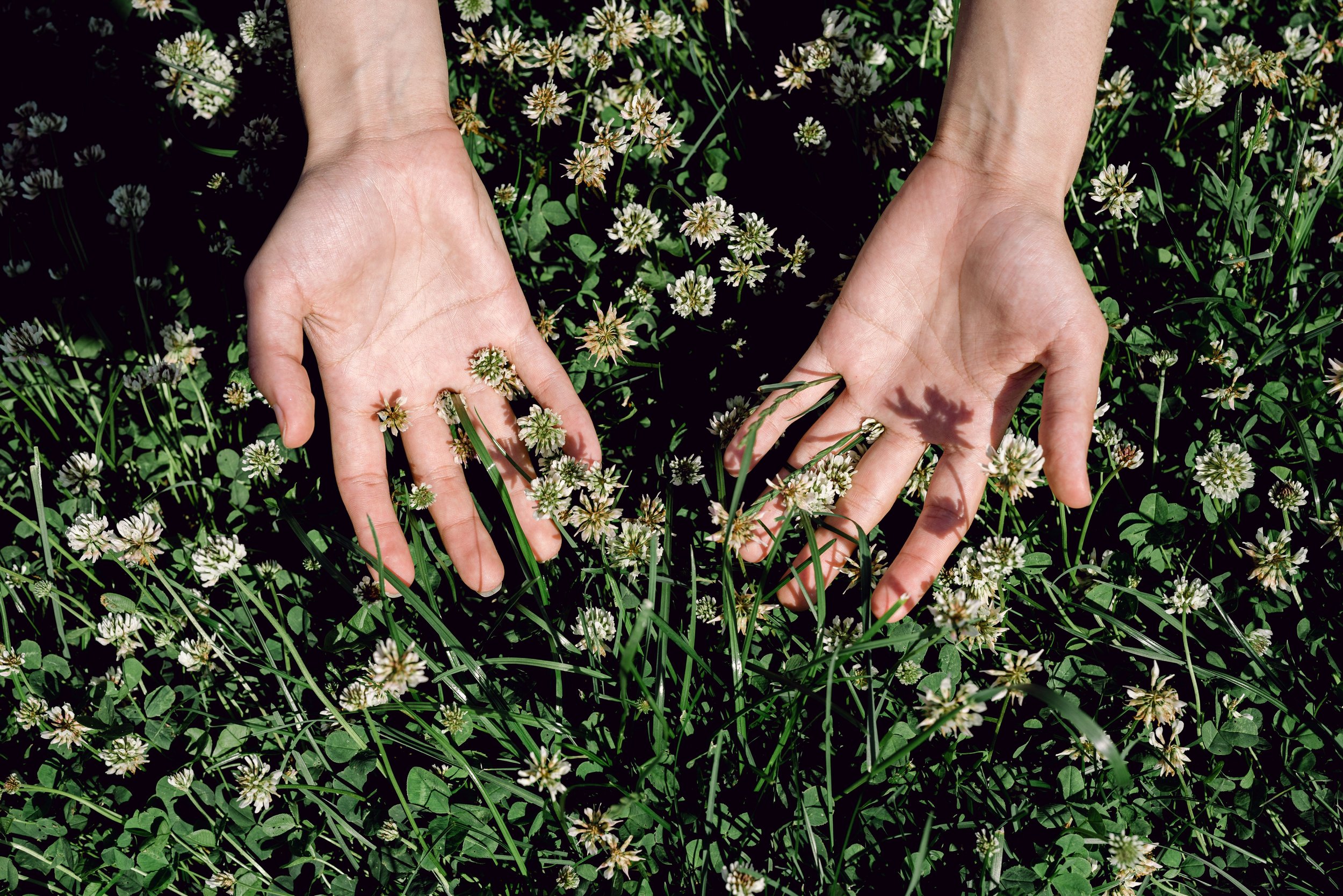 Natural Soil Amendments That Actually Work in an Atlanta Kitchen Garden