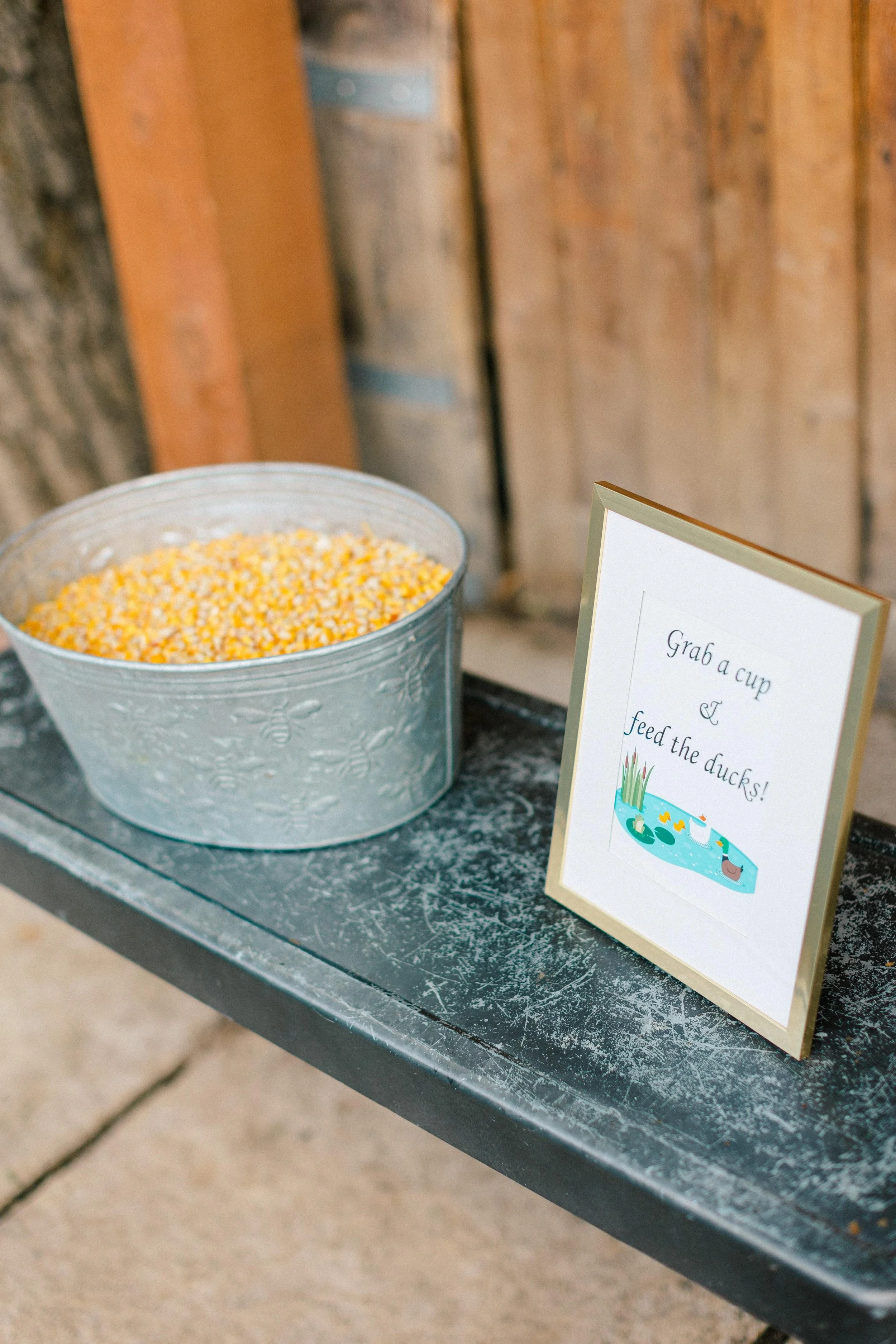 A metal bucket filled with feed corn and a sign that says "Grab a cup & feed the ducks!" next to a pond illustration with ducks.