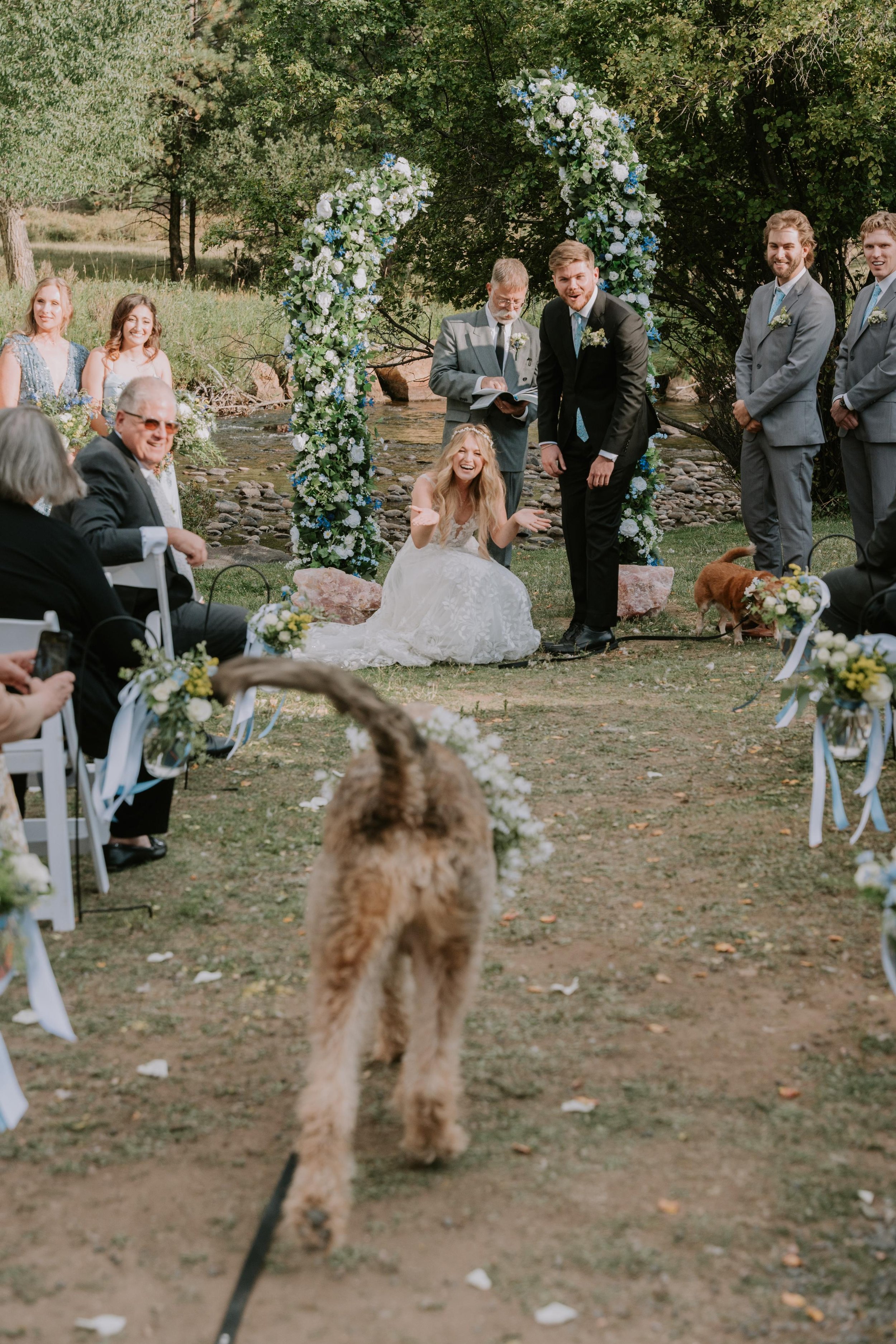 An outdoor wedding ceremony with a bride in a white gown sitting on the ground and laughing, a groom in a black suit leaning towards her, surrounded by wedding party and guests. There is a floral arch, a creek in the background, and dogs present at the ceremony.