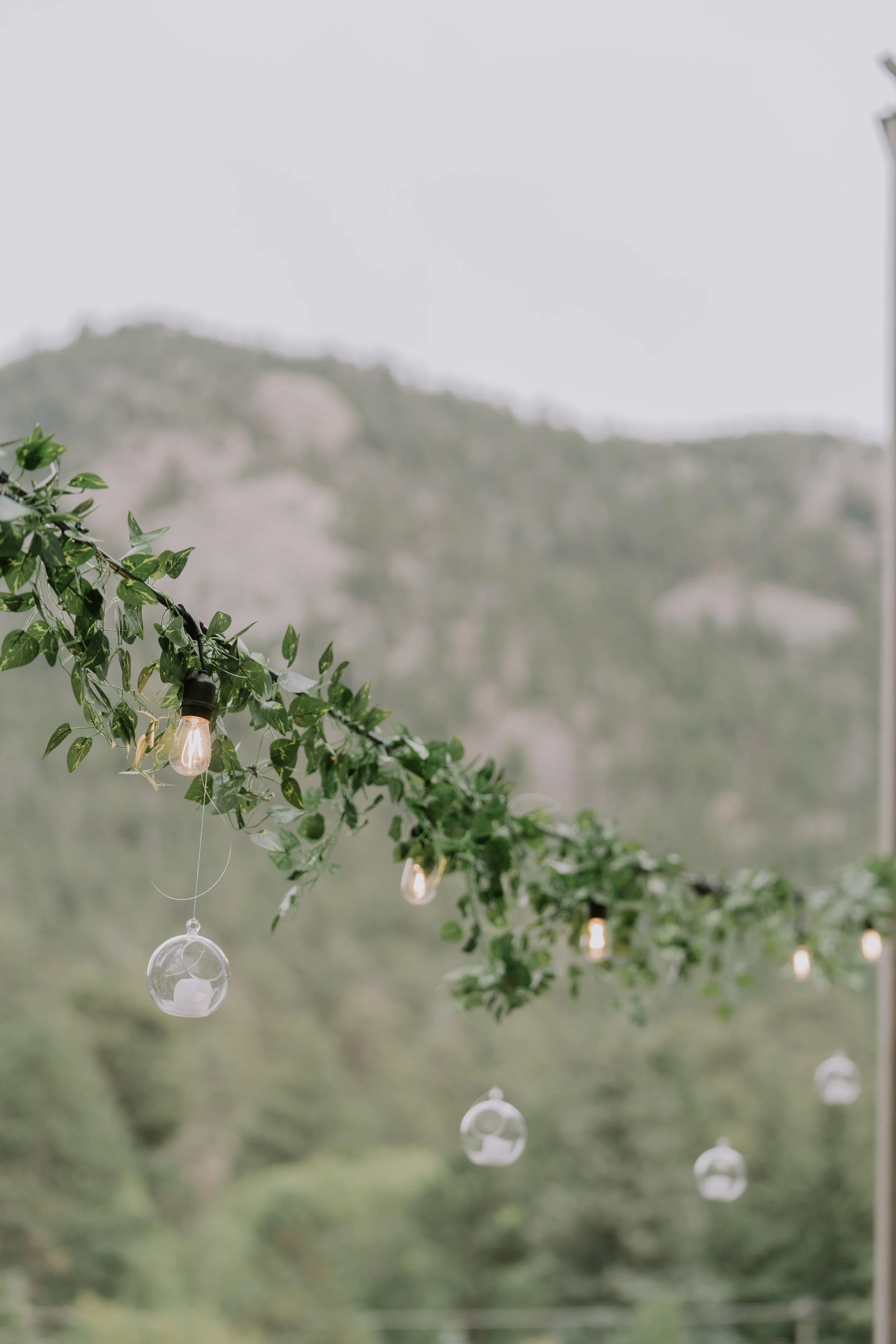 String of hanging string lights and glass bulbs decorated with green leafy garland outdoors with mountain scenery in the background.