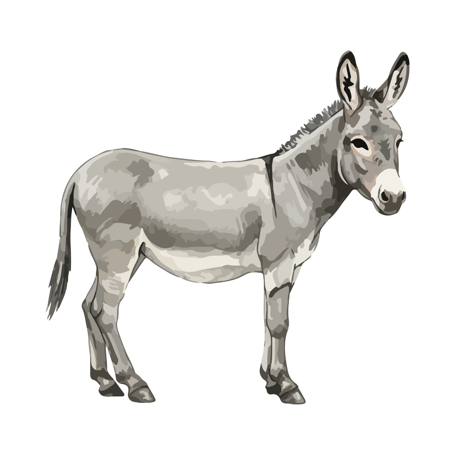 Jackasses or Jehovah...When Church Hurts