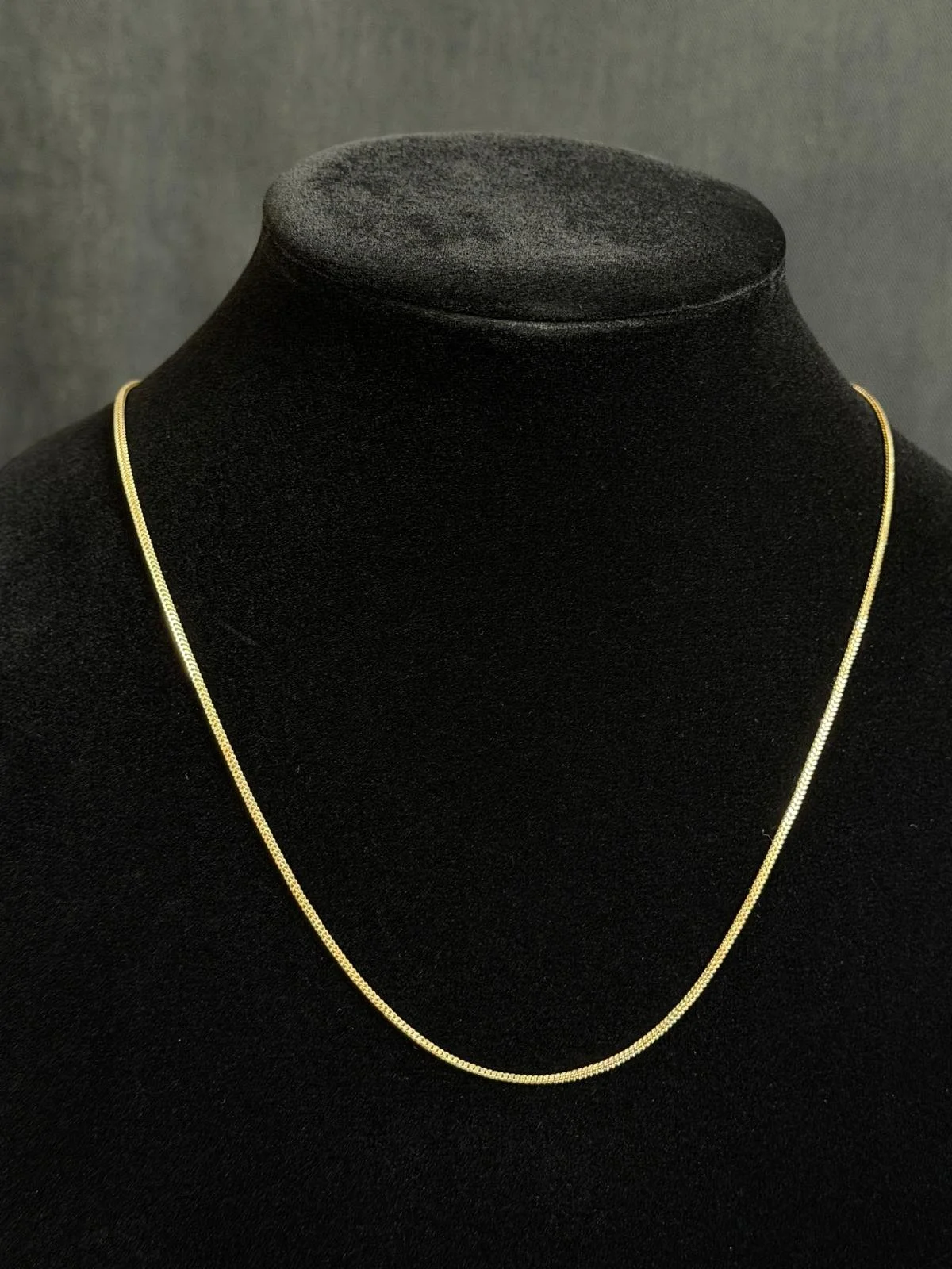 WhatsApp Image 2026-03-04 at 11.27.27 AM.jpeg