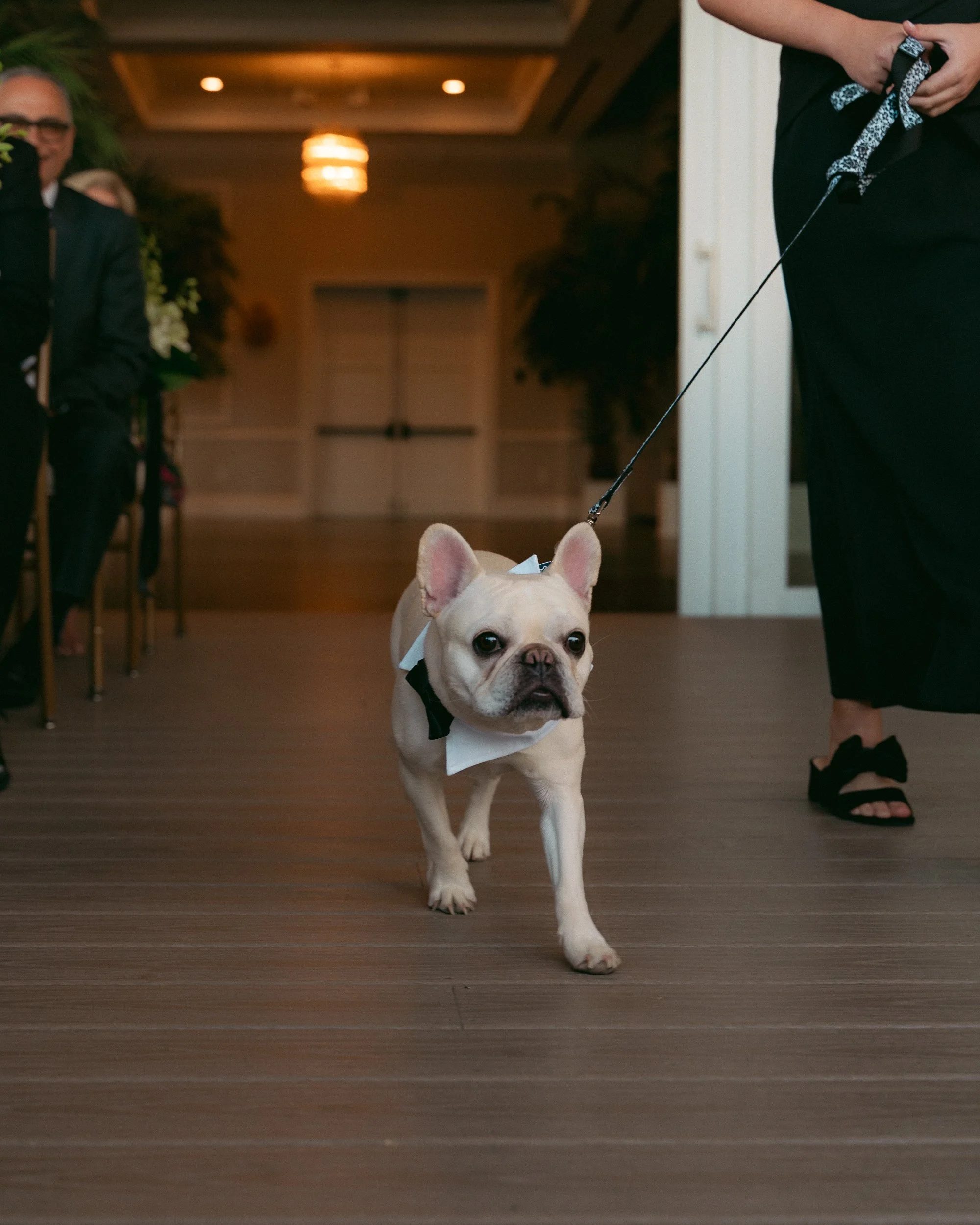 Wedding at Pelican Club-23.jpg