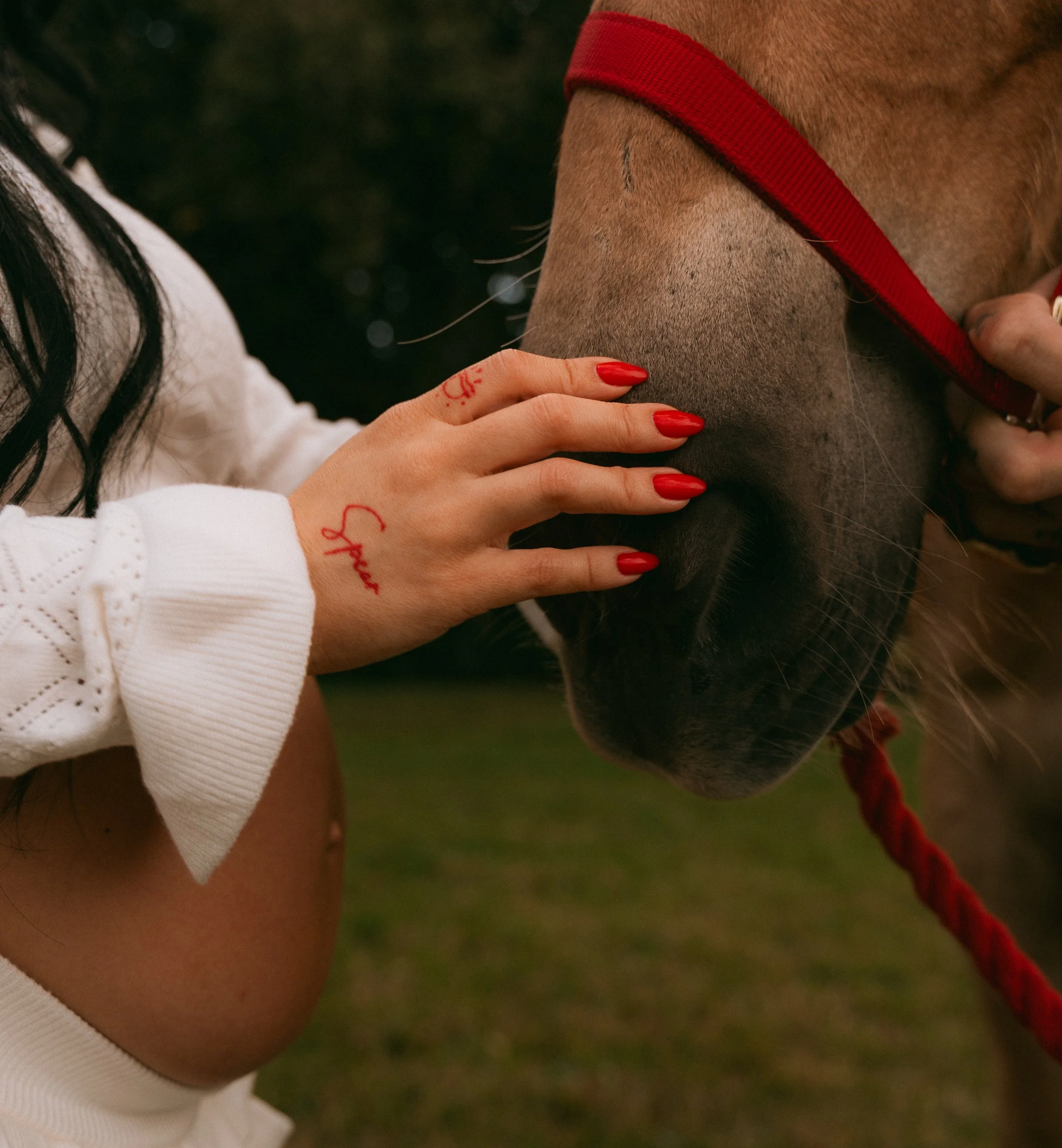 Western Maternity Session with Horse in Miami -16.jpg