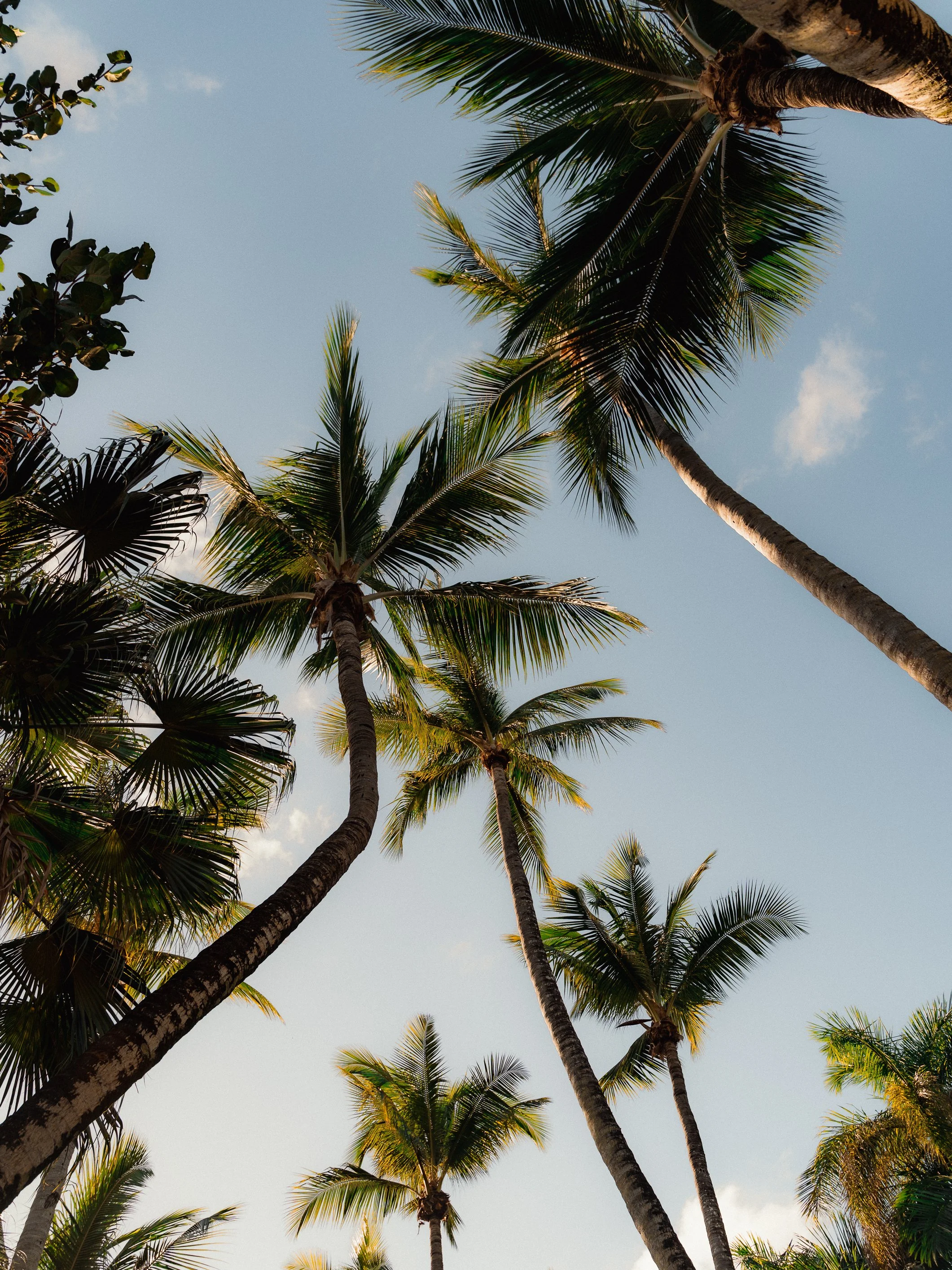 Spanish Style Wedding in Bonnet House Fort Lauderdale-19.jpg