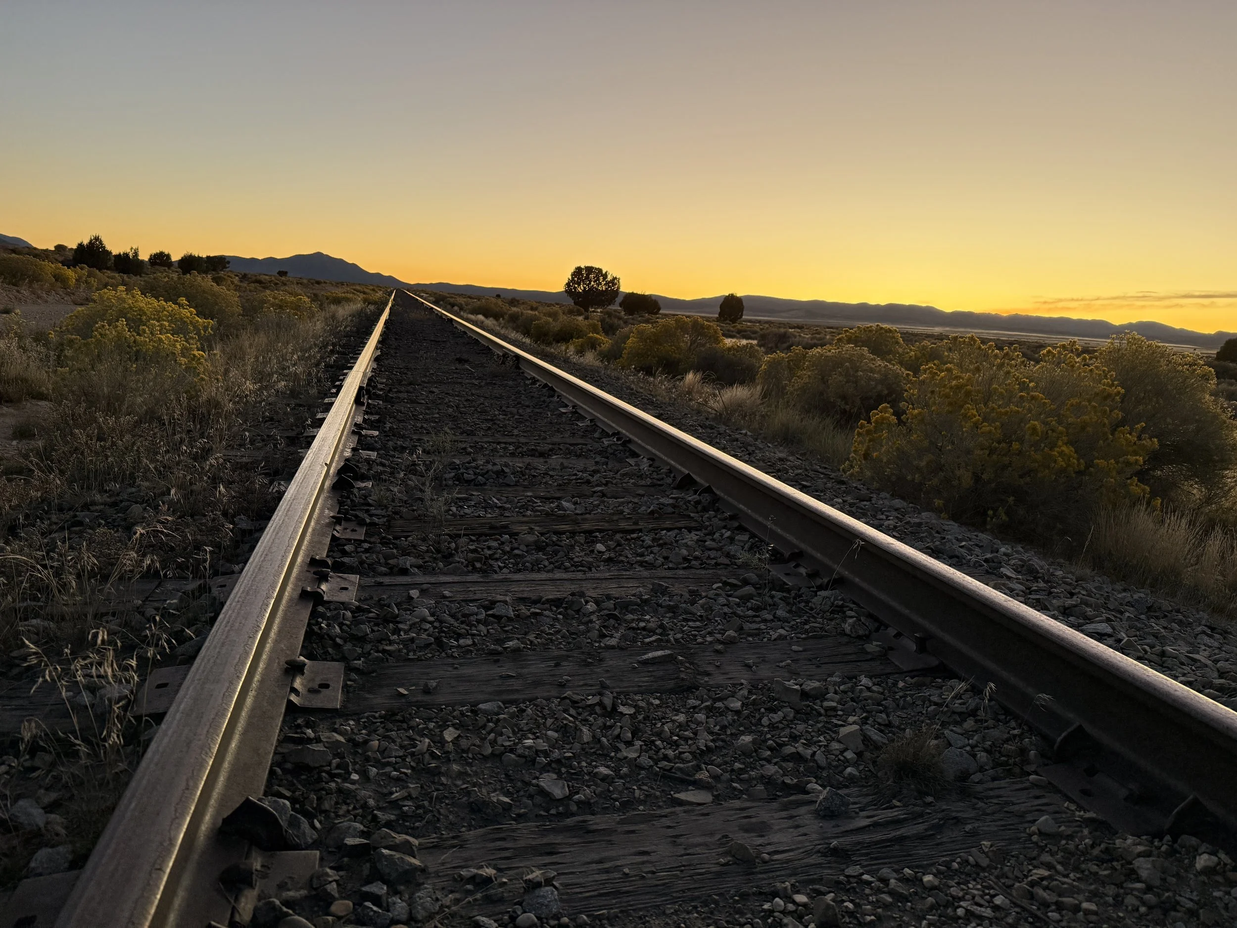 A straight railroad track extending into the distance during sunset, with yellow flowering bushes and mountains in the background.