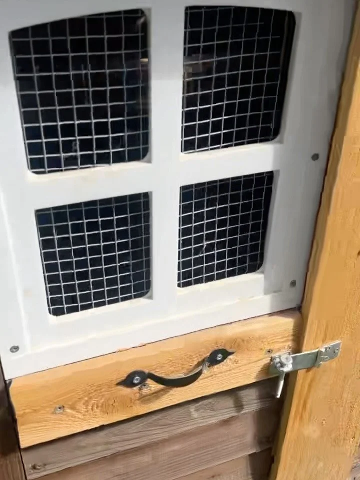 🐓 and the award goes to&hellip;🐓
@anjaoss! Anja Oss guessed Honey Daniels to be the first laying hen in a very complimentary and observant commment 🙏🏽 We were pumped to learn that Anja is also starring in a local production called &ldquo;The Lege