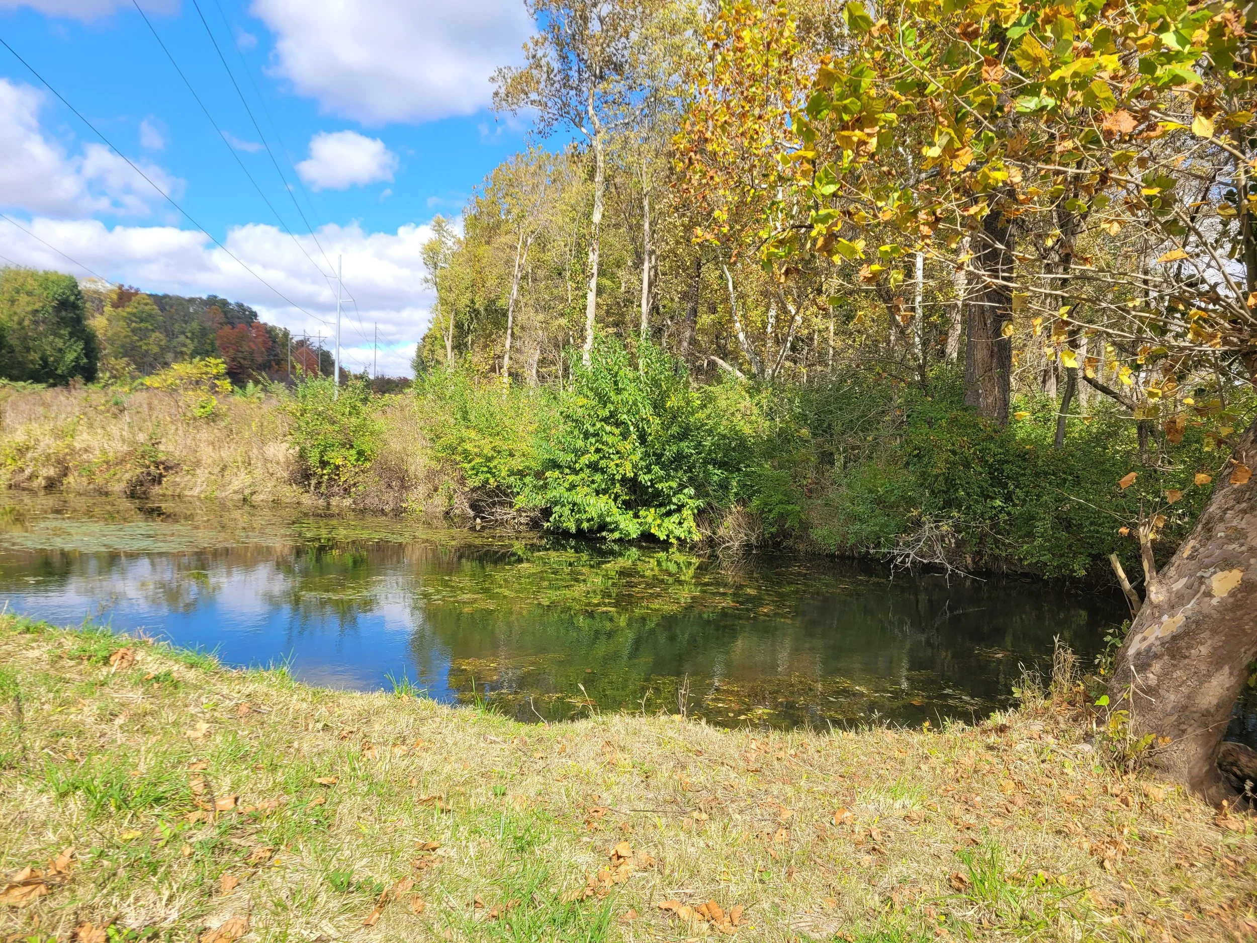 A peaceful river flowing through a wooded area, with trees displaying fall foliage, under a partly cloudy blue sky.