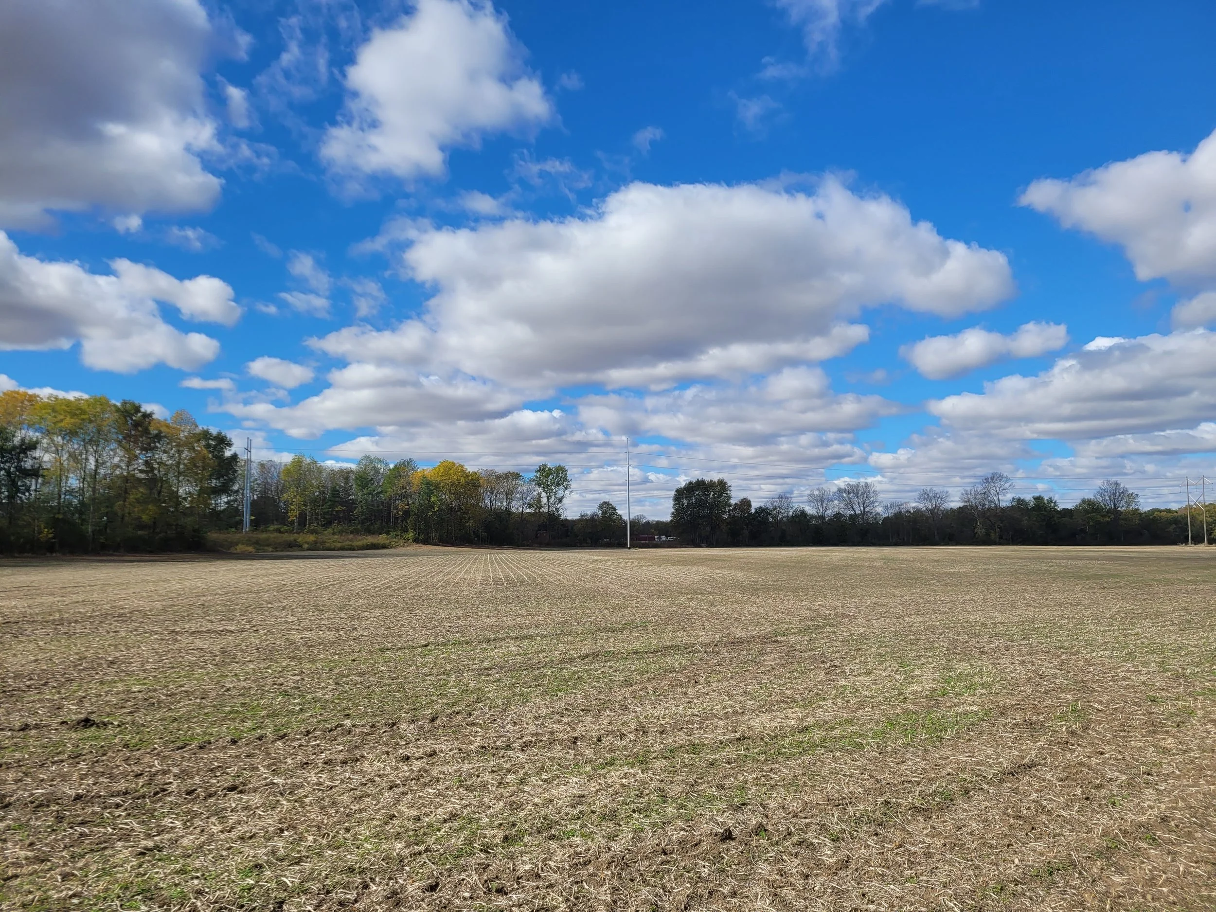 Empty field with patches of green growth, surrounded by trees with autumn foliage and a partly cloudy sky with large scattered clouds.