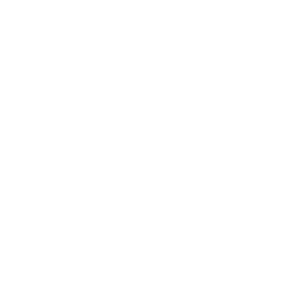 Black and white icon of a camera on a mobile phone with a circular button below.