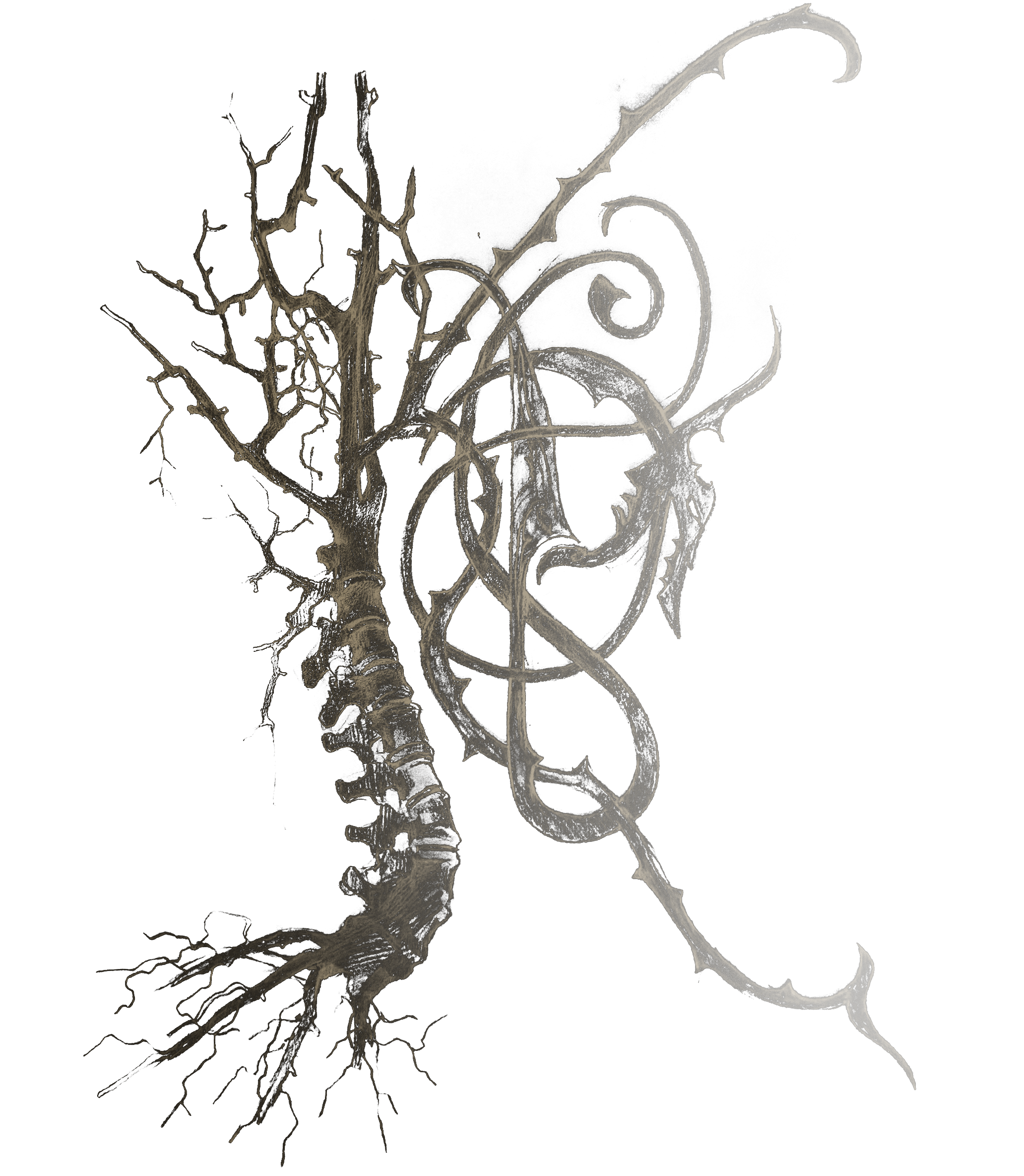 A  capital letter designed as a twisted, leafless tree with exposed roots