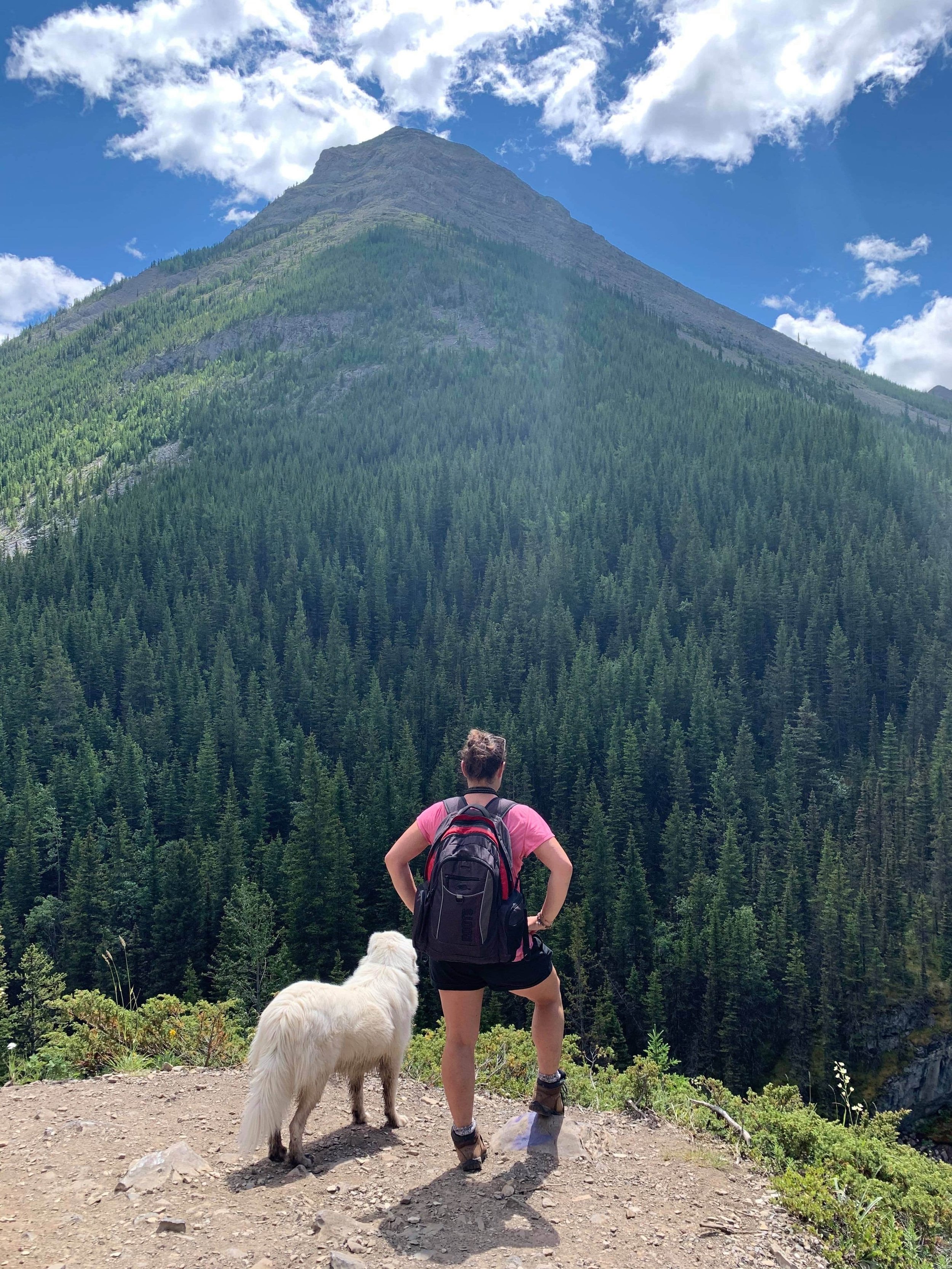 A woman in pink and black hiking clothes with a backpack and a white dog standing on a dirt trail, facing a large mountain covered in dense green forest, with blue sky and clouds overhead.